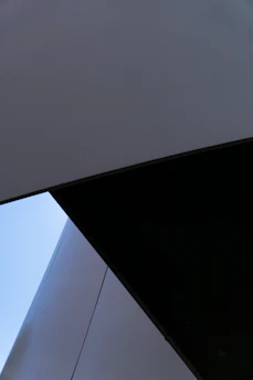 Abstract monochrome composition of layered geometric shapes creating depth and intrigue in dark tones.