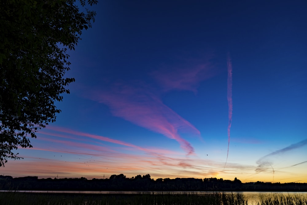 silhouette of trees under blue sky during sunset