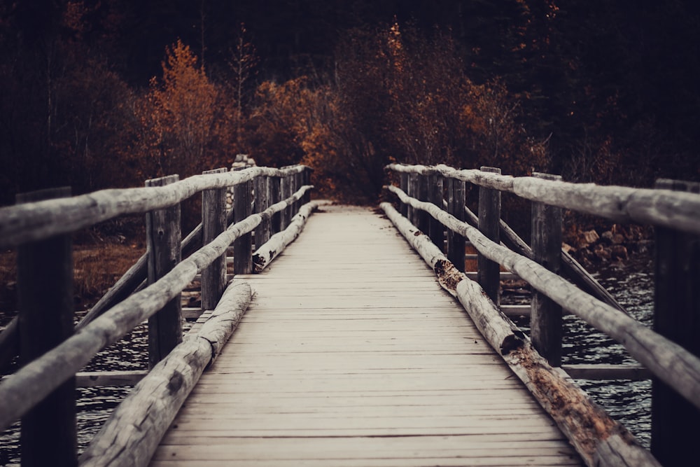 brown wooden bridge in forest