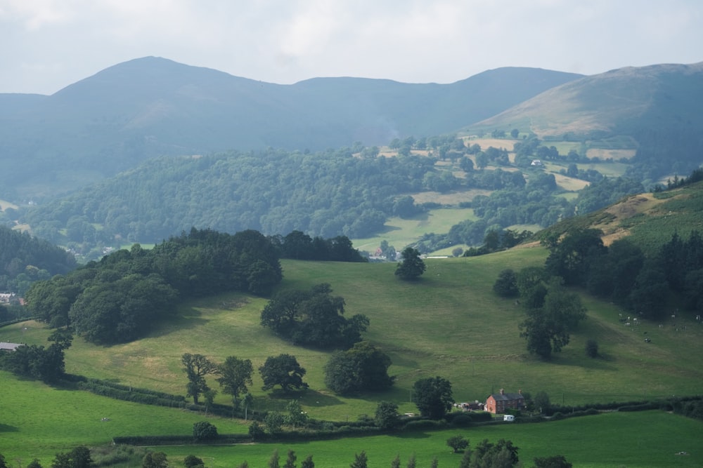 green grass field near green mountains during daytime