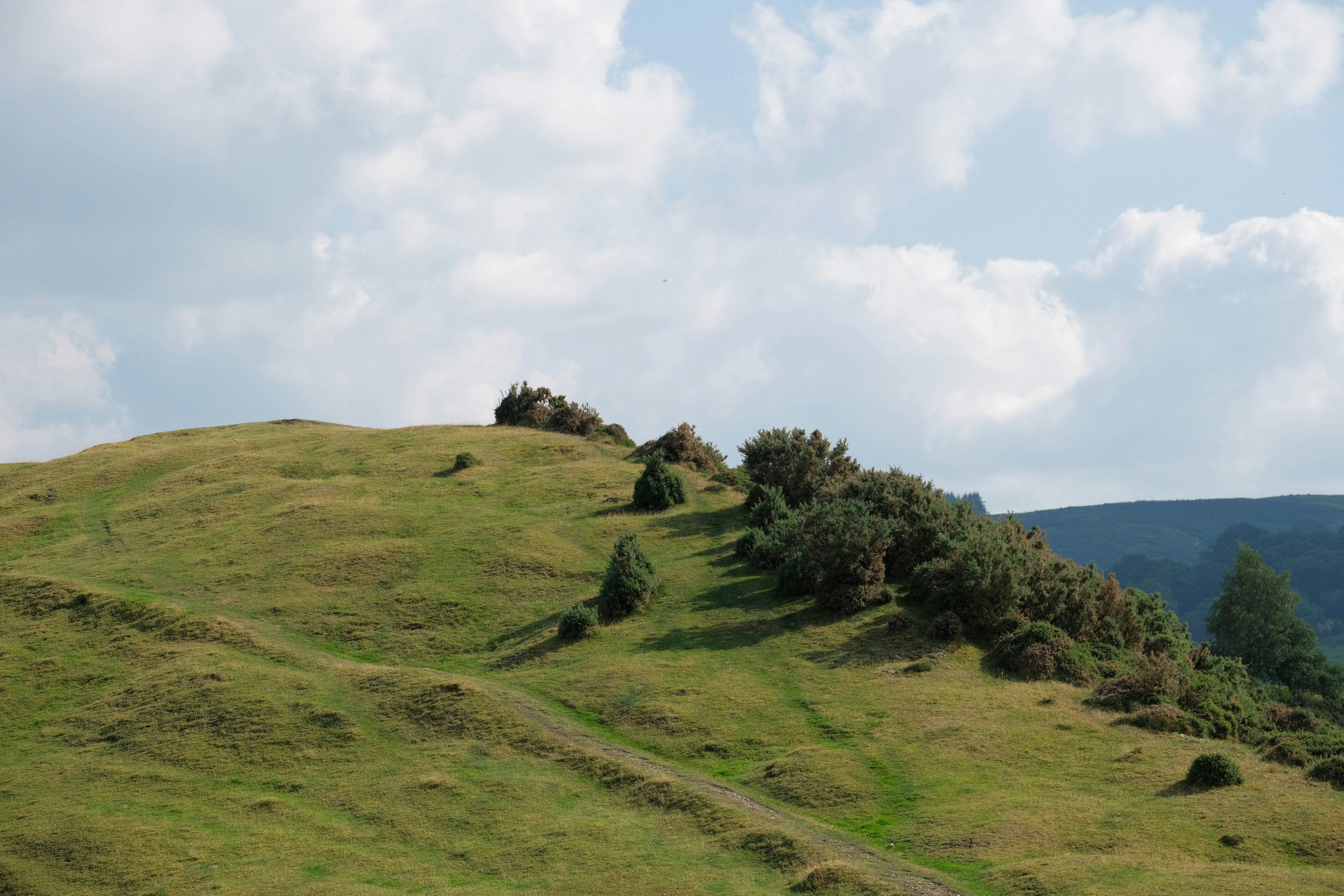 The Science Behind Optical Illusions in Nature (image credits: unsplash)