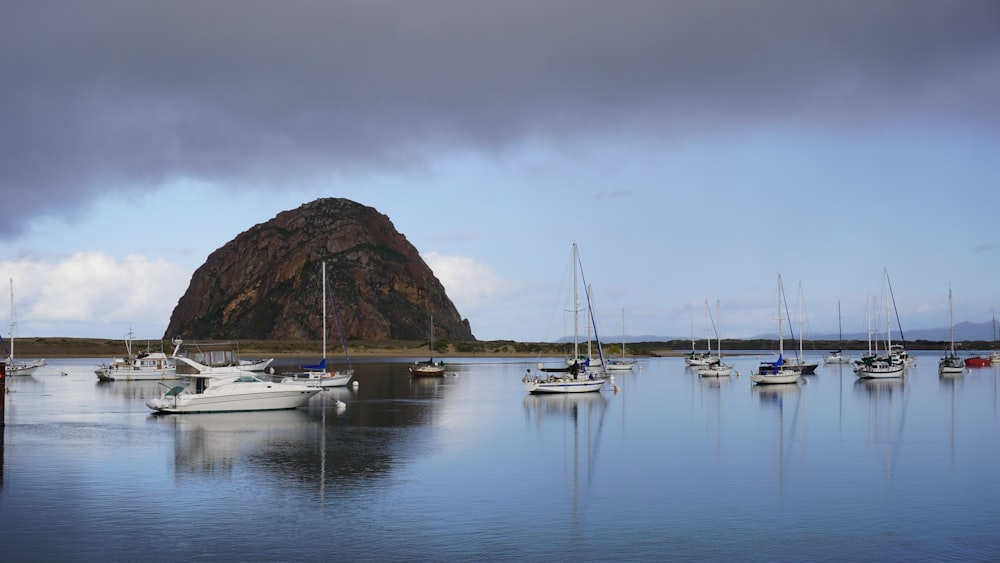 white boat on body of water during daytime