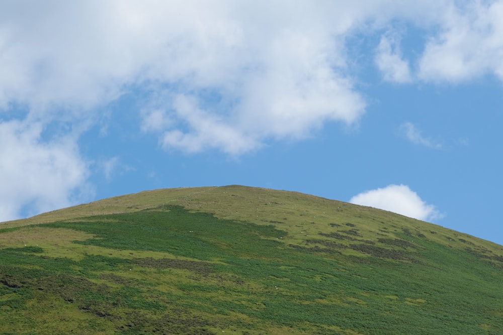 green grass field under blue sky during daytime