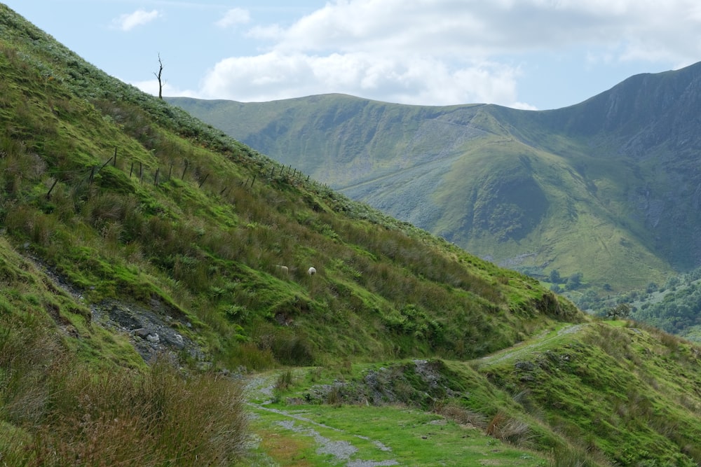 green grass field and mountains during daytime