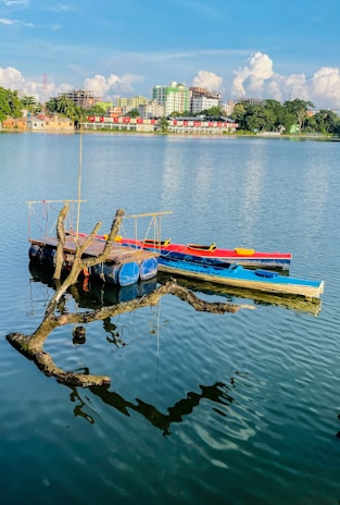 A small platform made from barrels and wooden planks floats on a calm body of water. A tree branch extends over the water. In the background, colorful buildings line the shore, reflecting in the water. The sky is clear with a few fluffy clouds.