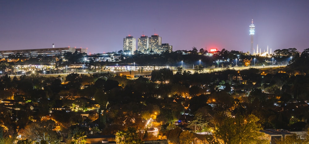 city with high rise buildings during night time