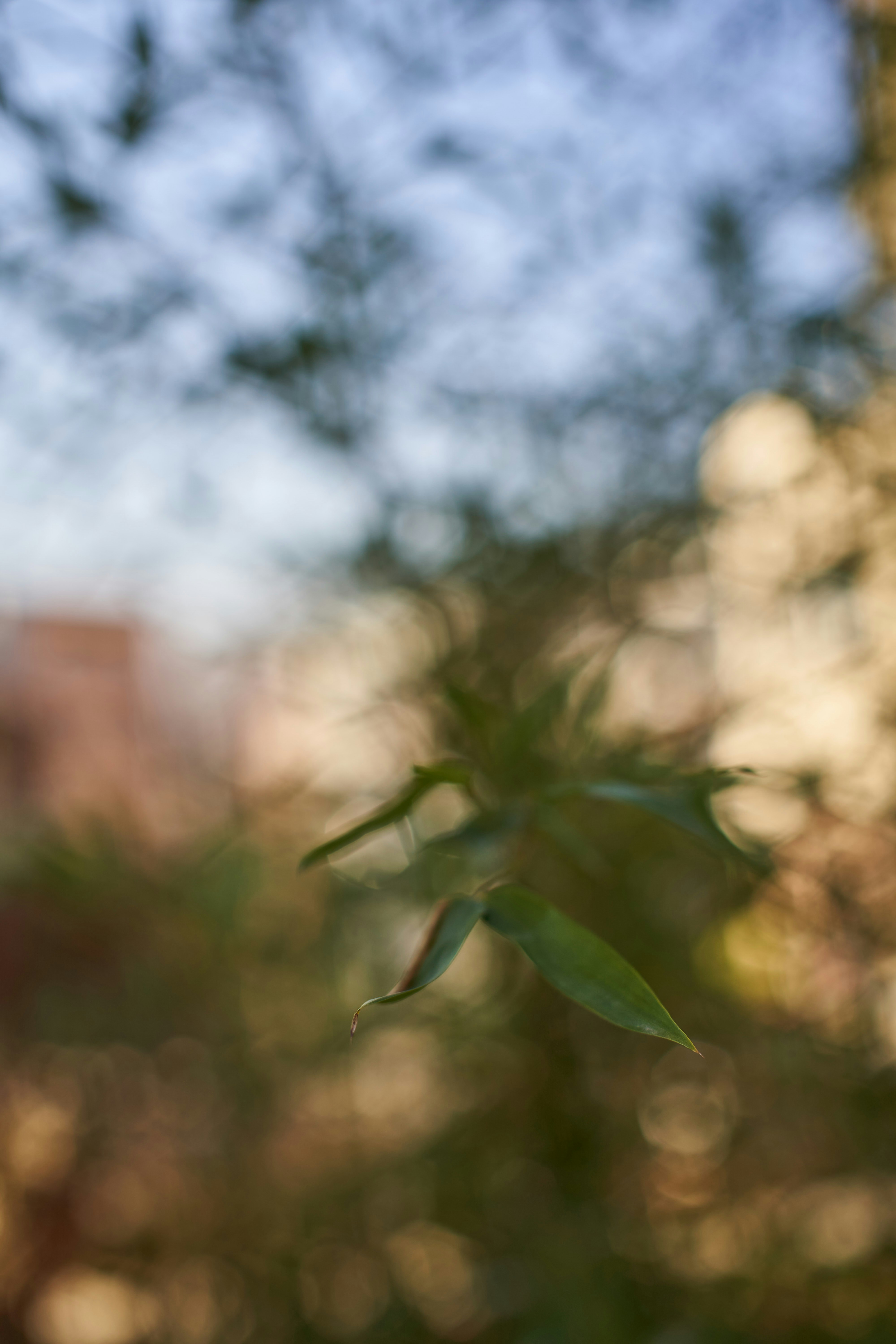 Photo by wolfgang_hasselmann