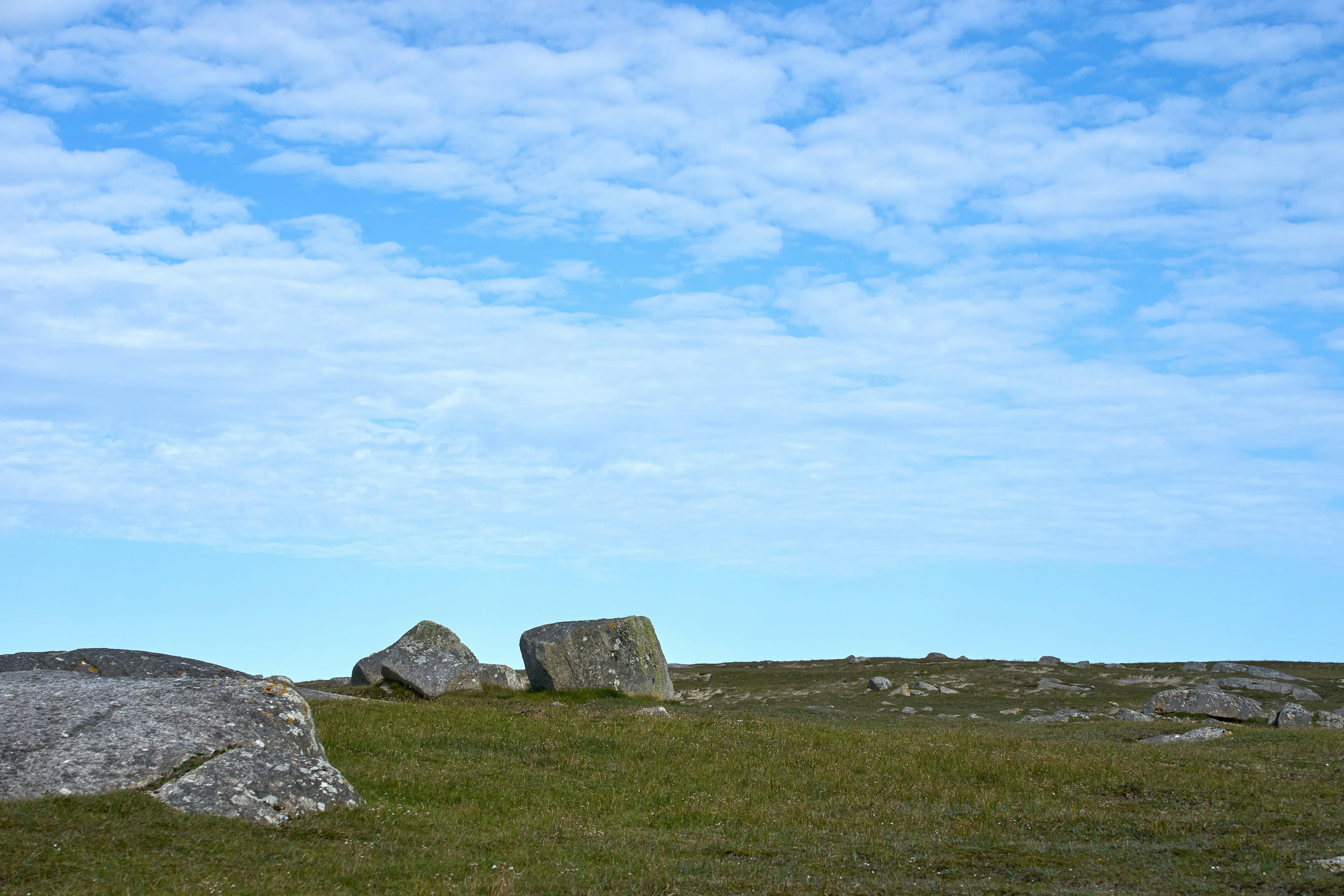 Photo by wolfgang_hasselmann