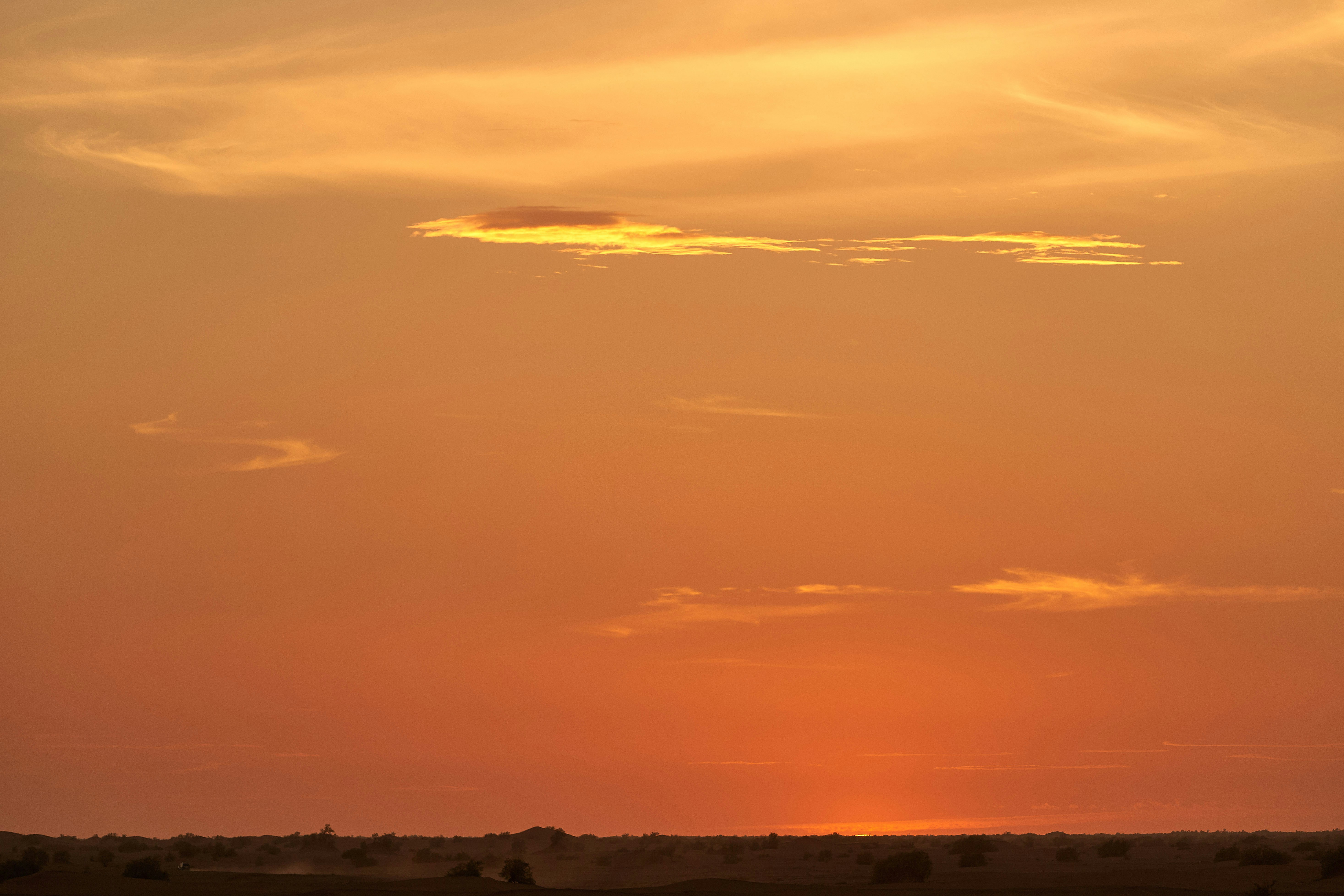 Photo by wolfgang_hasselmann