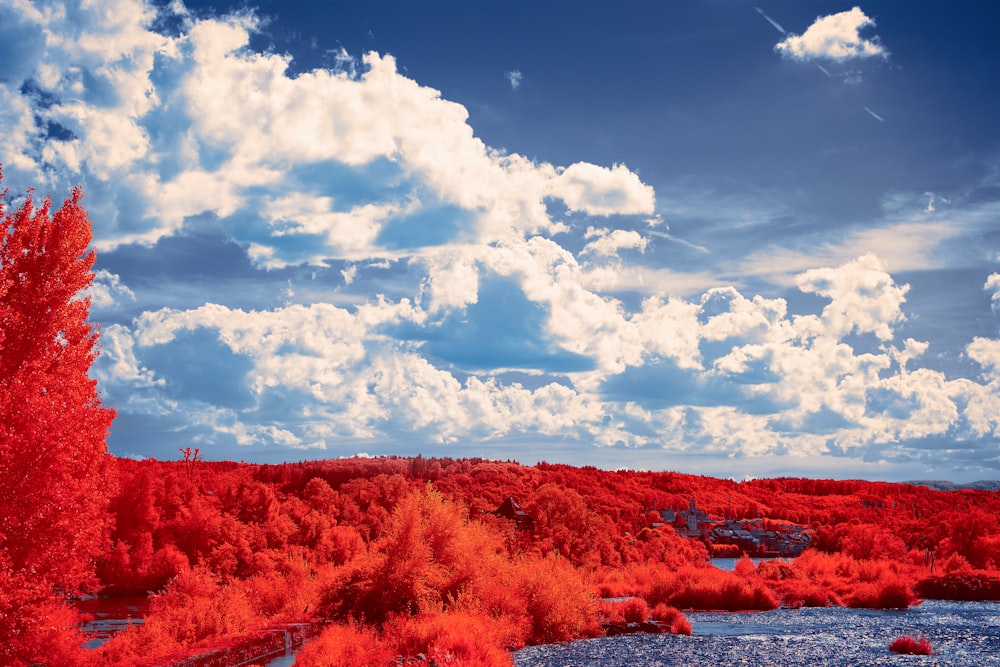 brown grass field near body of water under blue and white cloudy sky during daytime