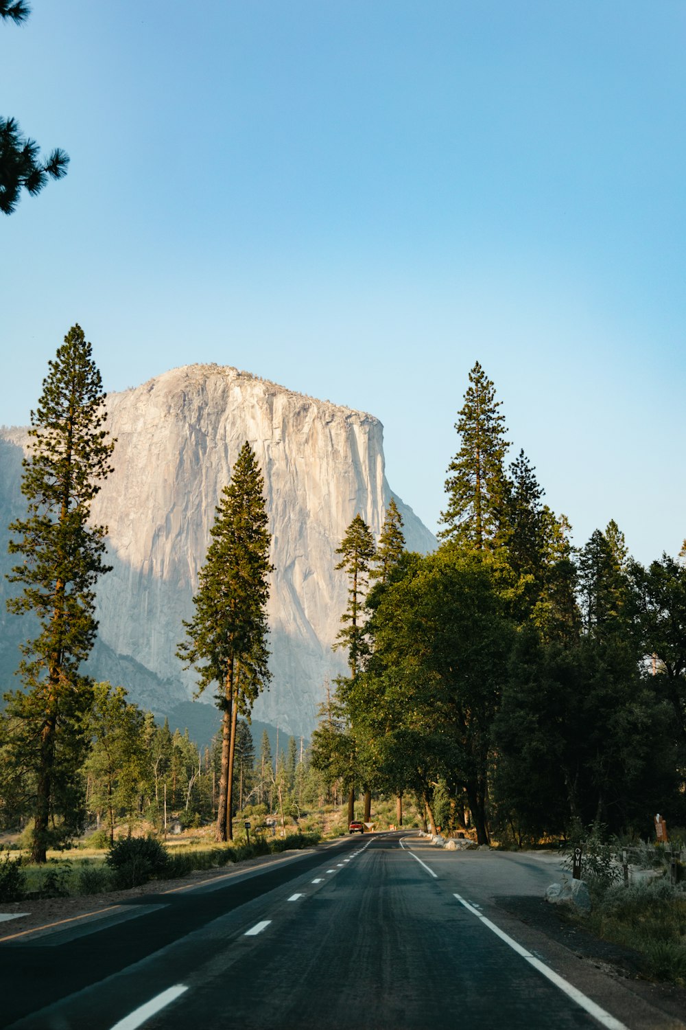 green trees near mountain under blue sky during daytime