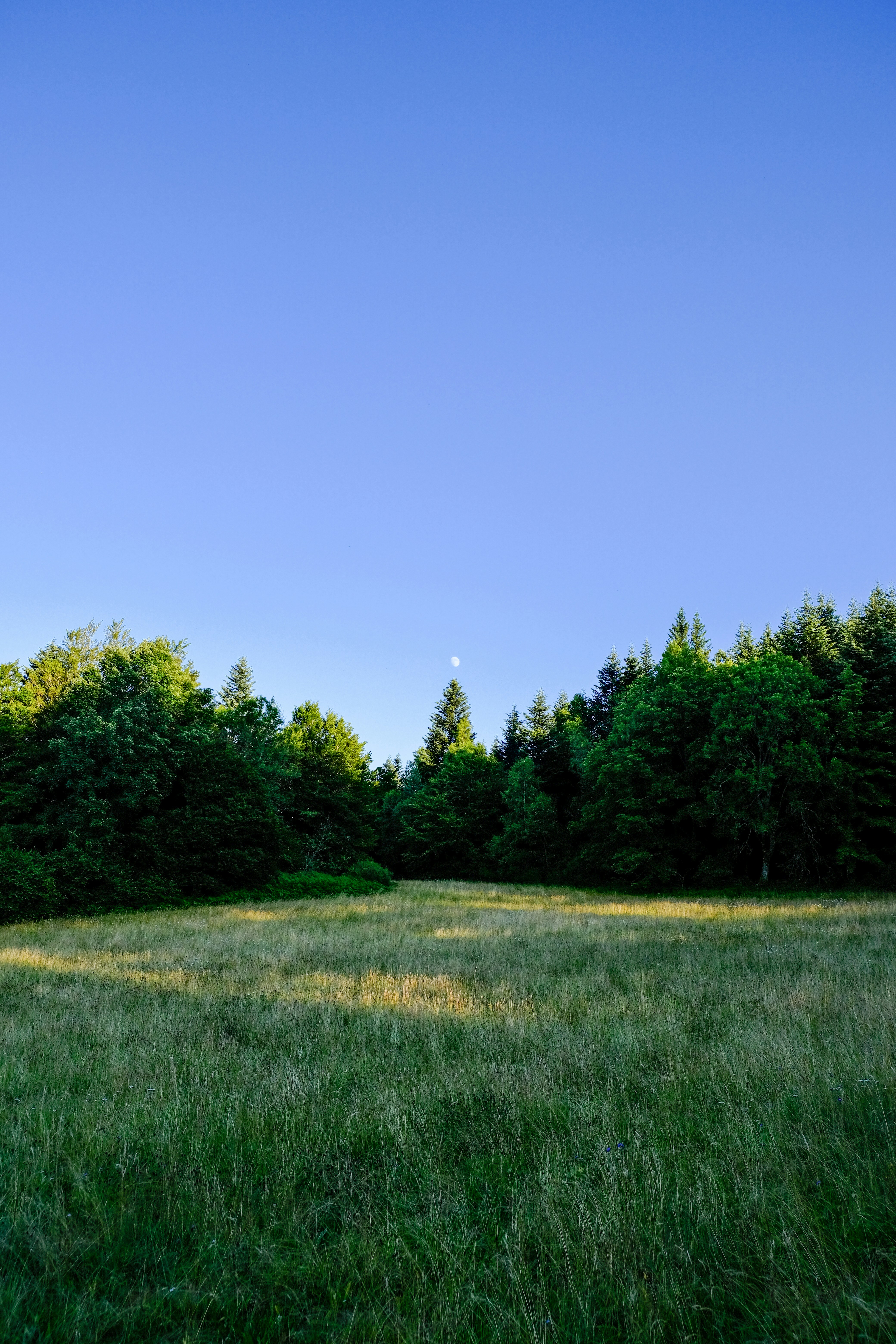 Photo by harryatkins