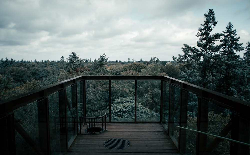 brown wooden bridge over green trees during daytime