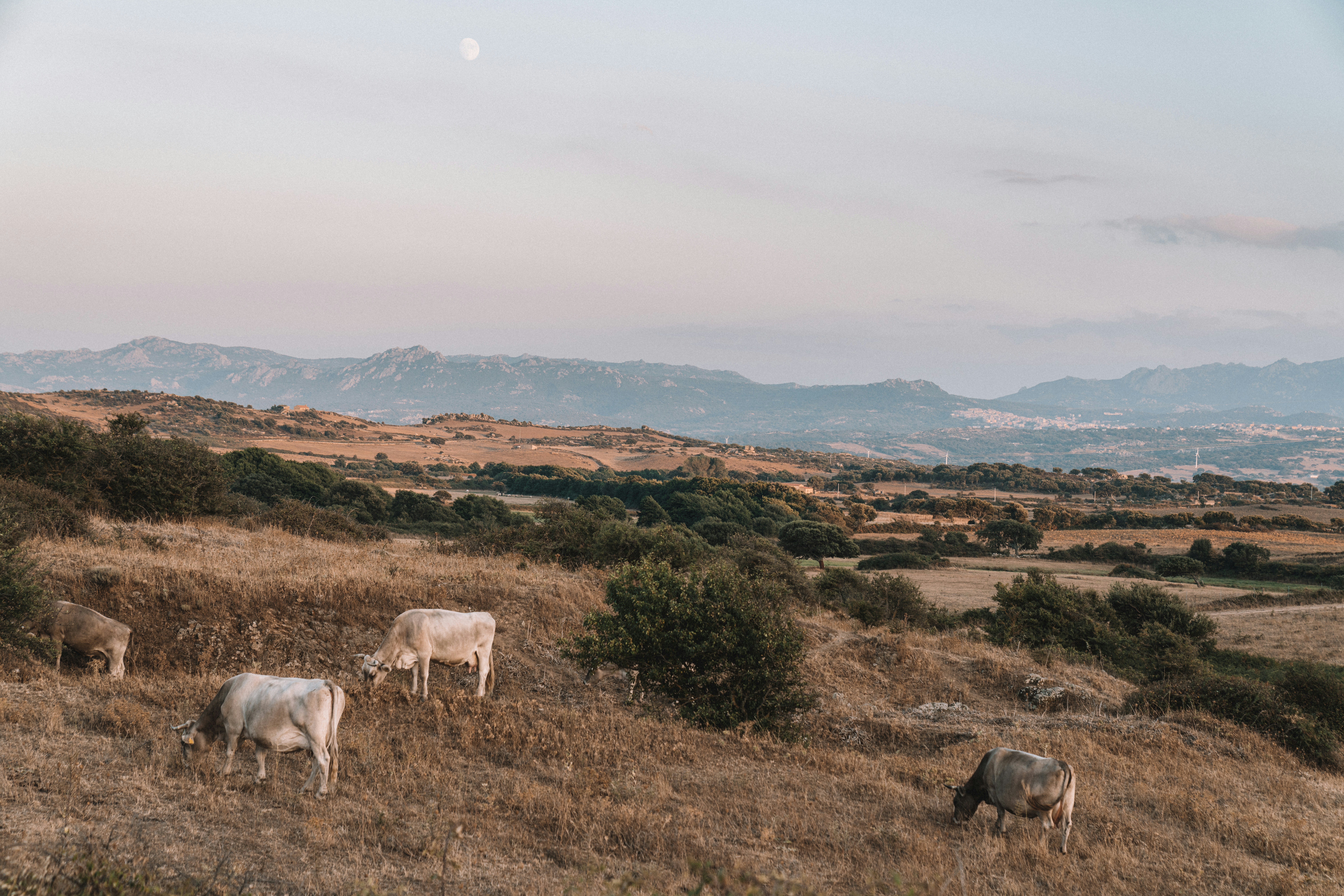 Photo by didiofederico_photographer