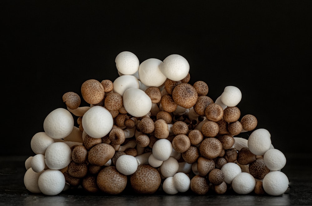 brown and white round fruits