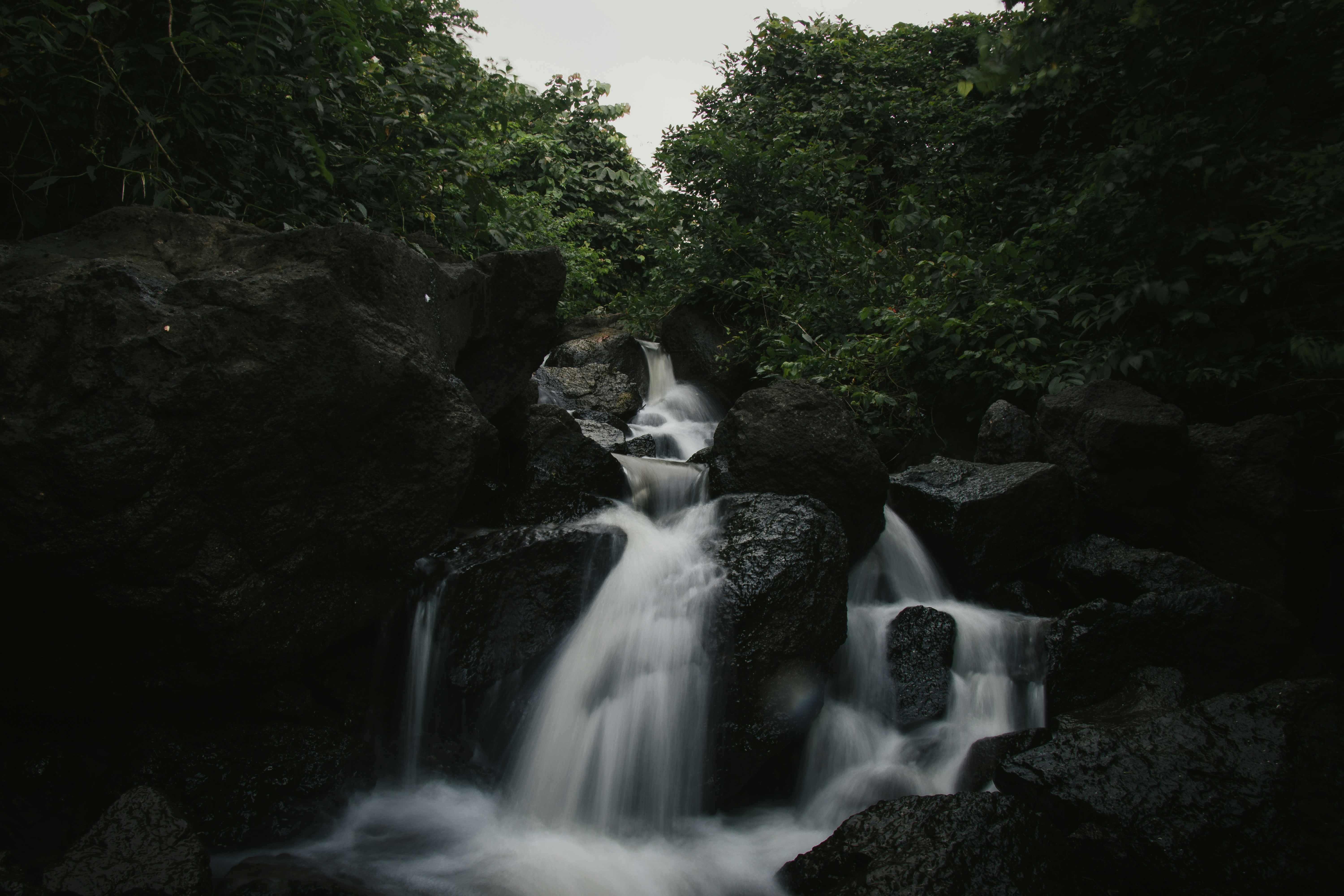 Photo by mahdi17