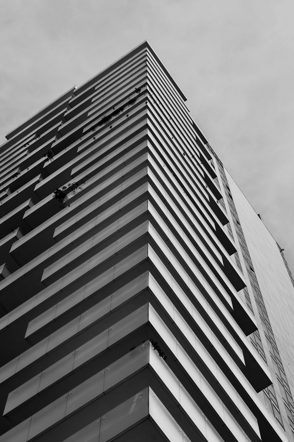 foto em tons de cinza do edifício de concreto