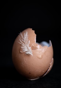 A glowing golden egg resting on a cracked concrete floor, symbolizing hidden secrets.