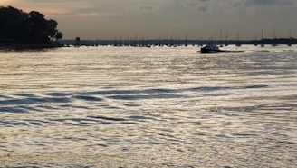 A serene marine scene digitally illustrated with gentle waves and a moored boat.