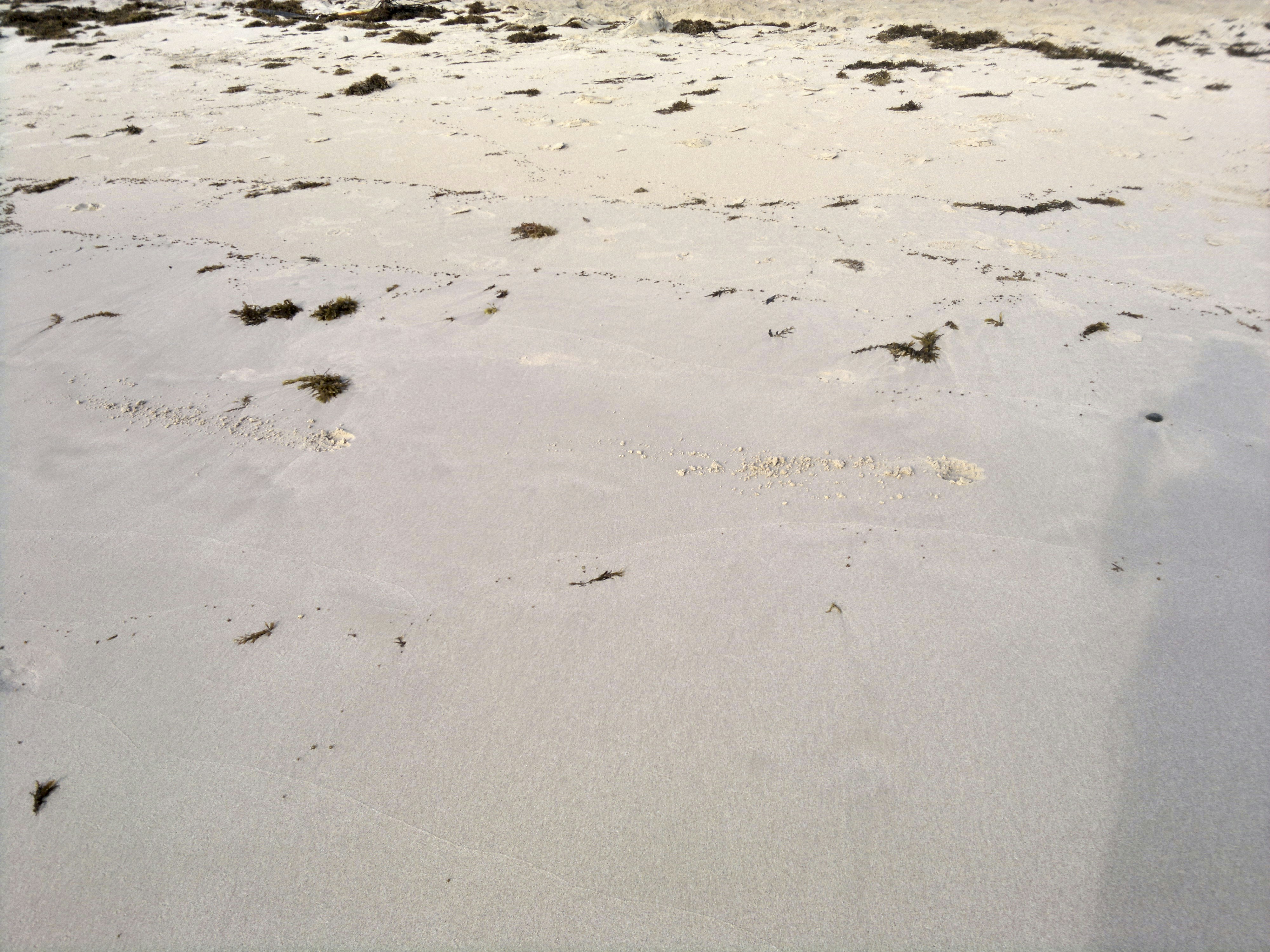 white sand with black sand
