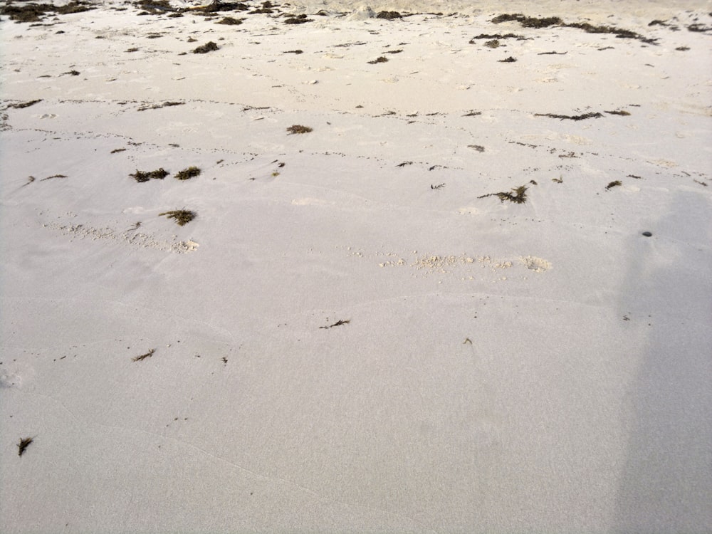 white sand with black sand