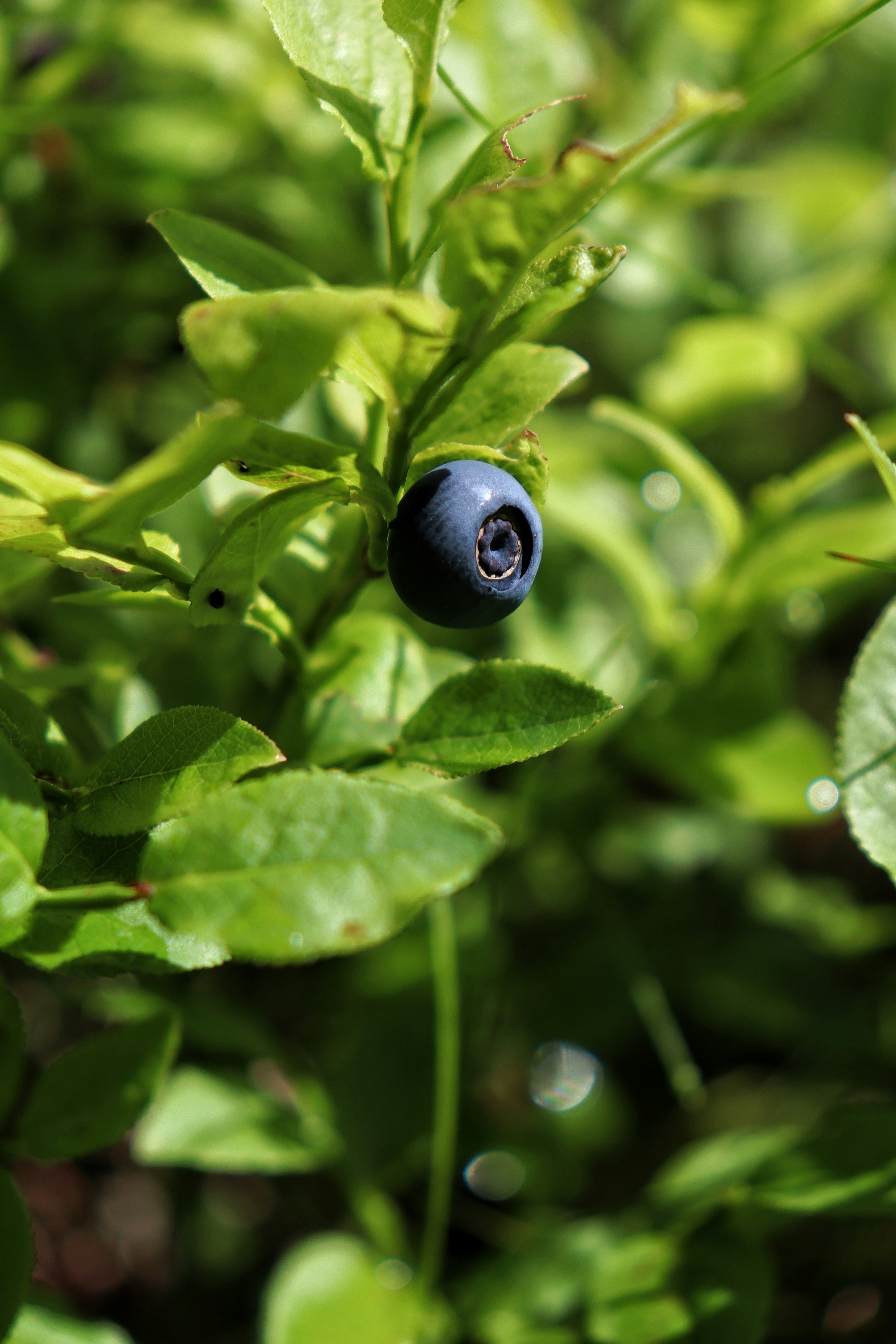 Photo by _elizabeth06_