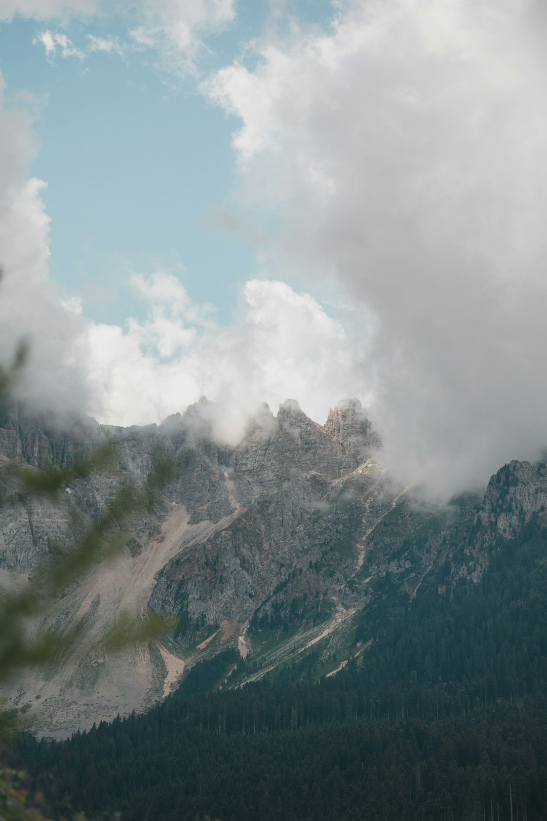 green trees on mountain under white clouds during daytime