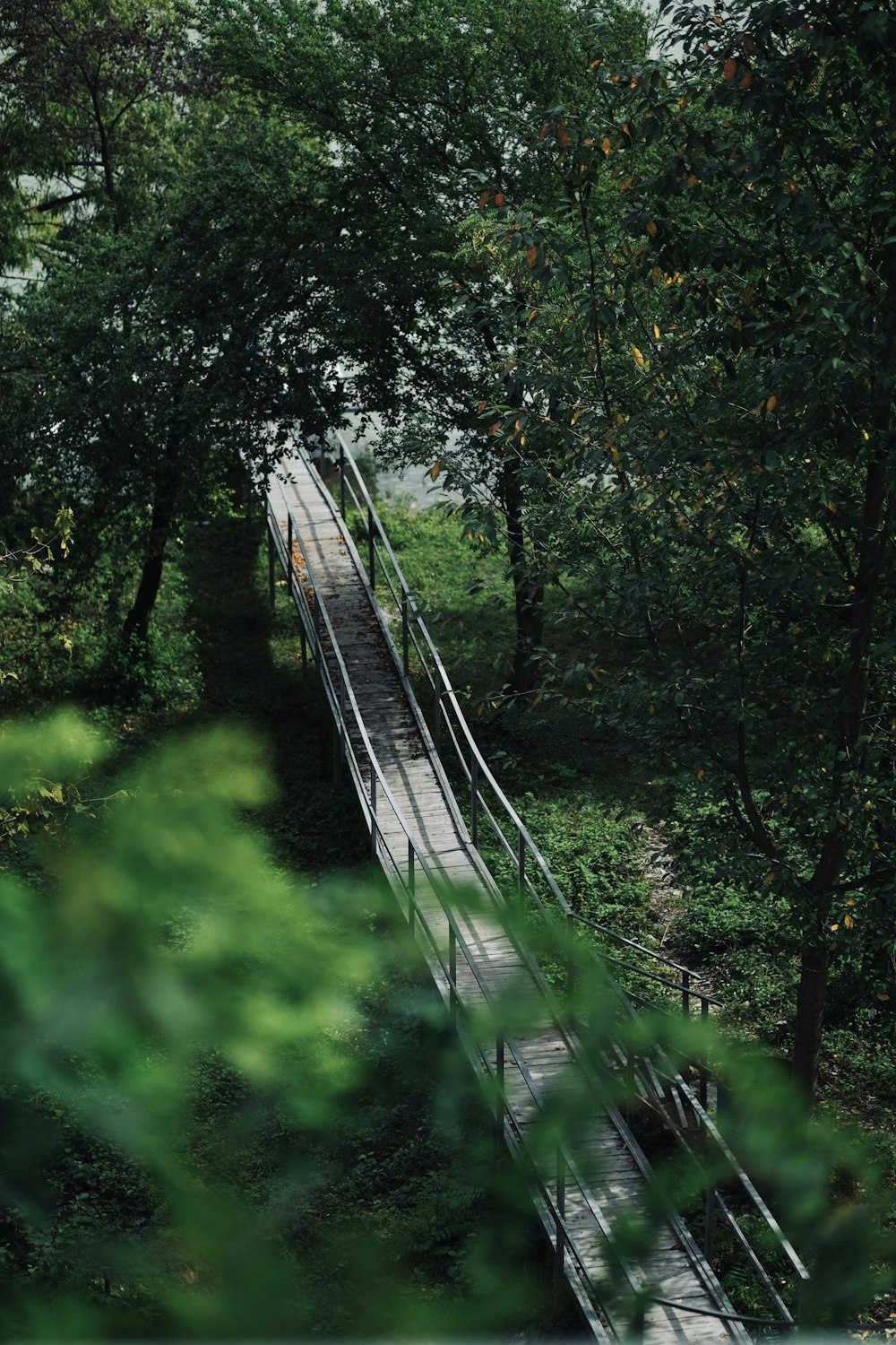 brown wooden bridge in the middle of green trees