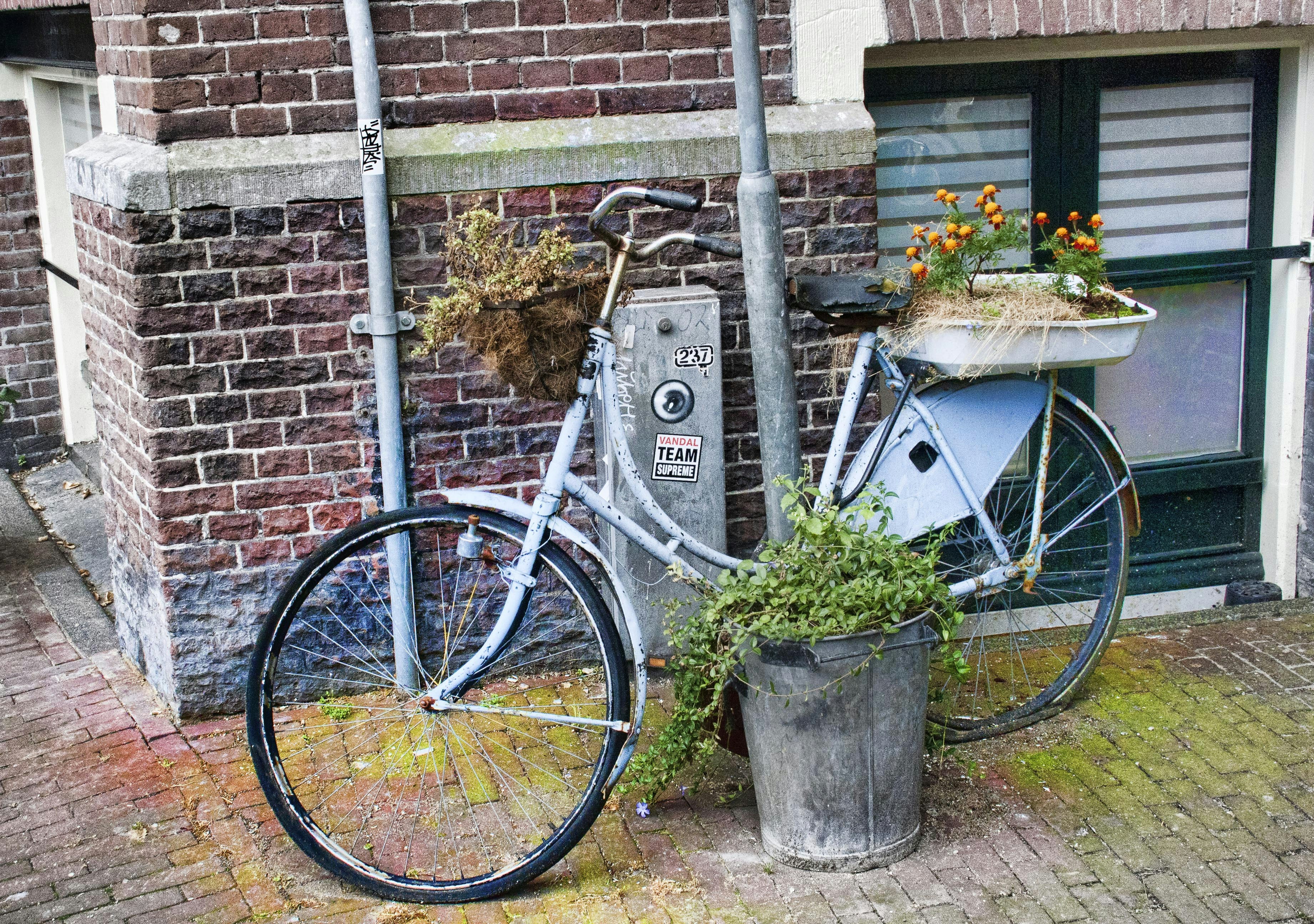 Photo by jjmontalban