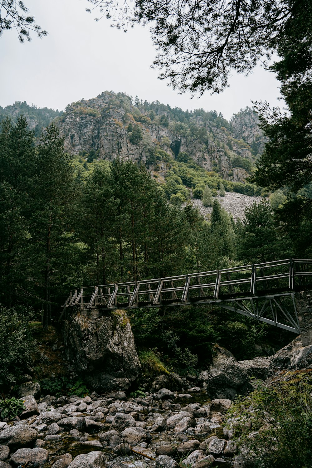 山に架かる灰色の木の橋