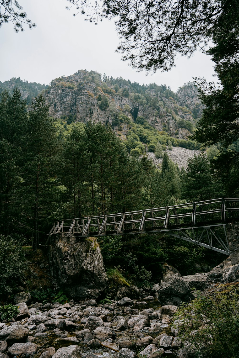 gray wooden bridge on mountain