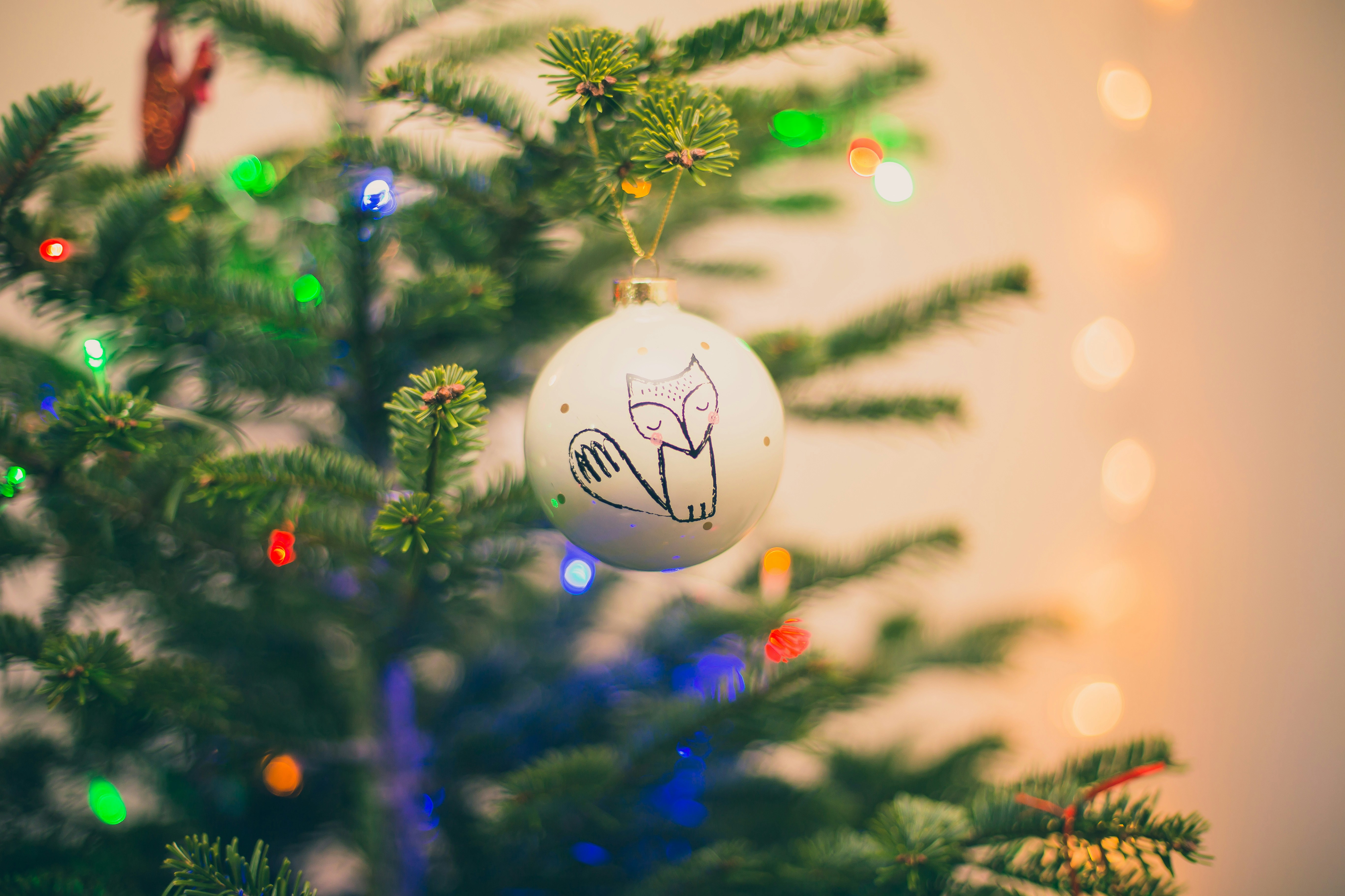 DIY decoração de Natal 2024 — Foto: Eric TERRADE / Unsplash