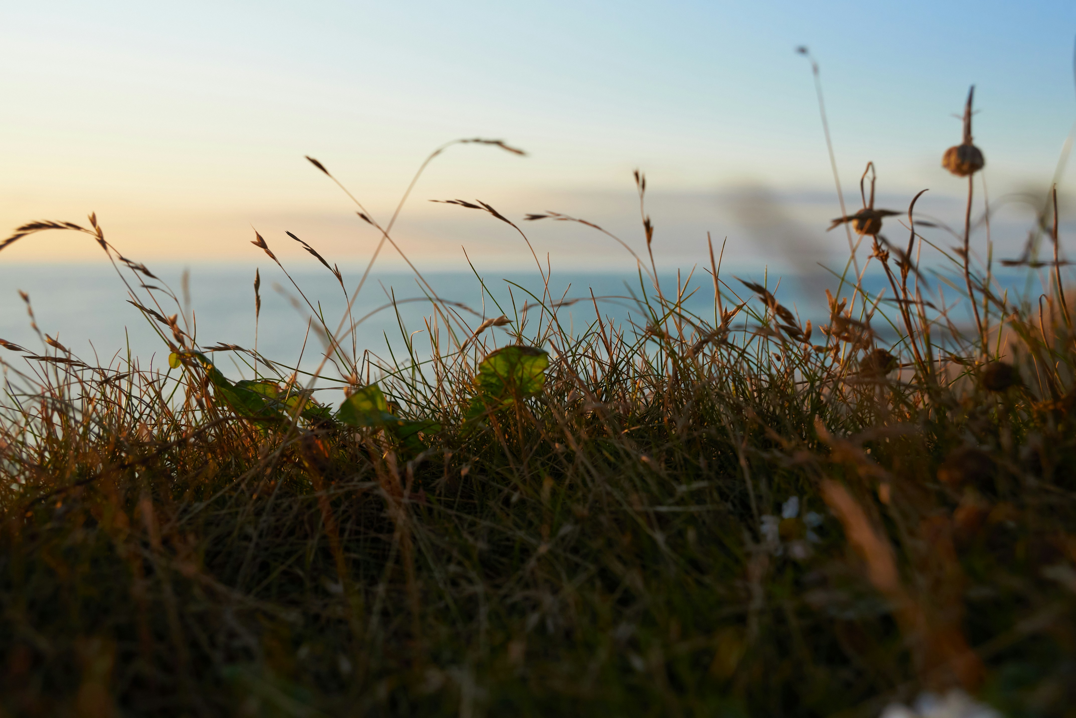 Photo by dreamerstranger