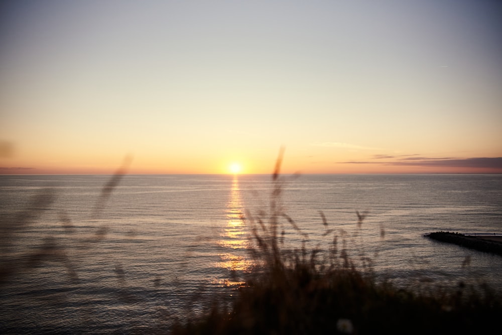 body of water during sunset