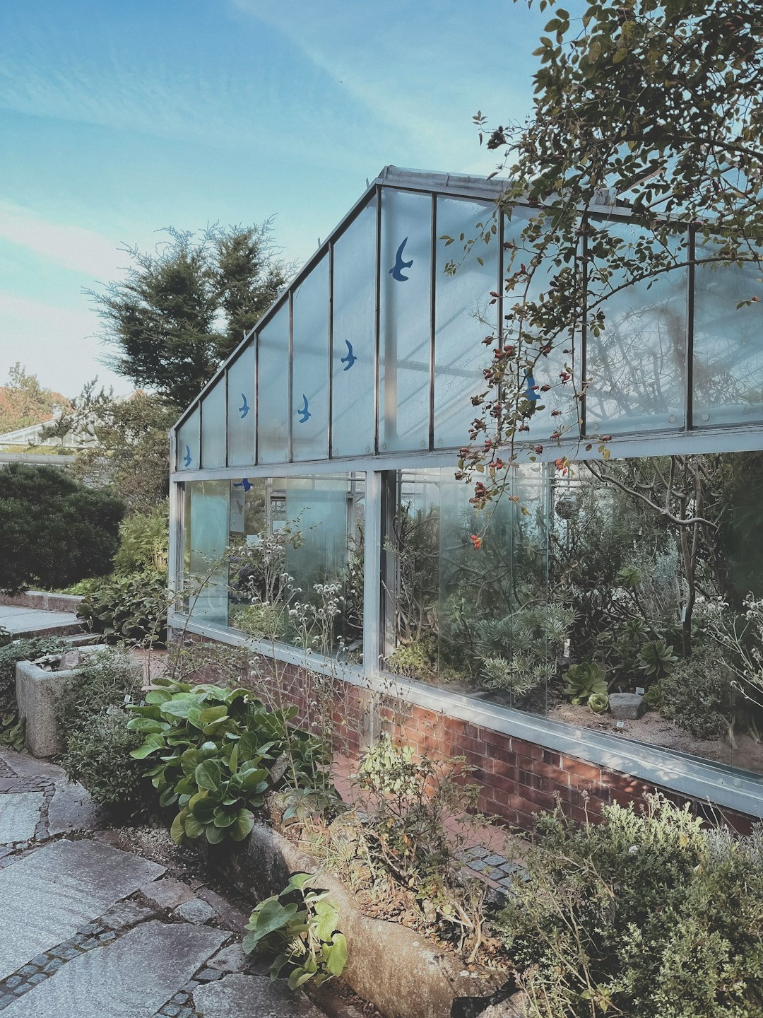 green plants near glass building during daytime