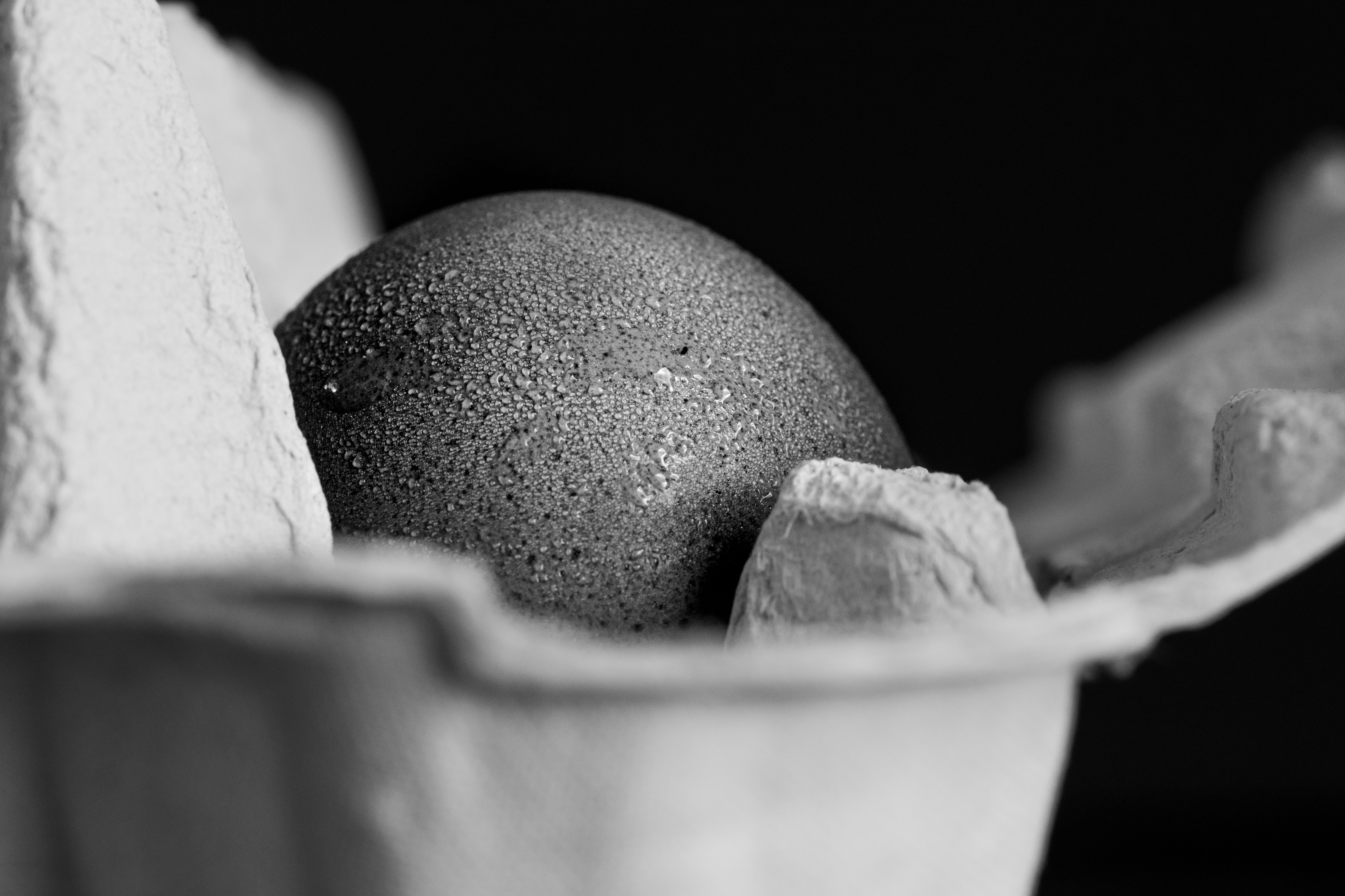 gray scale photo of gray egg