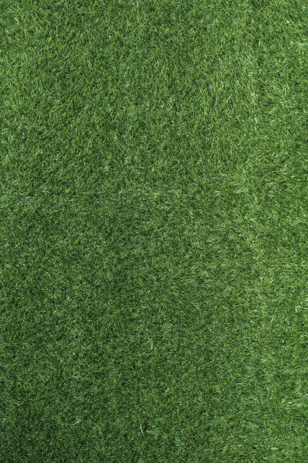 green grass field during daytime