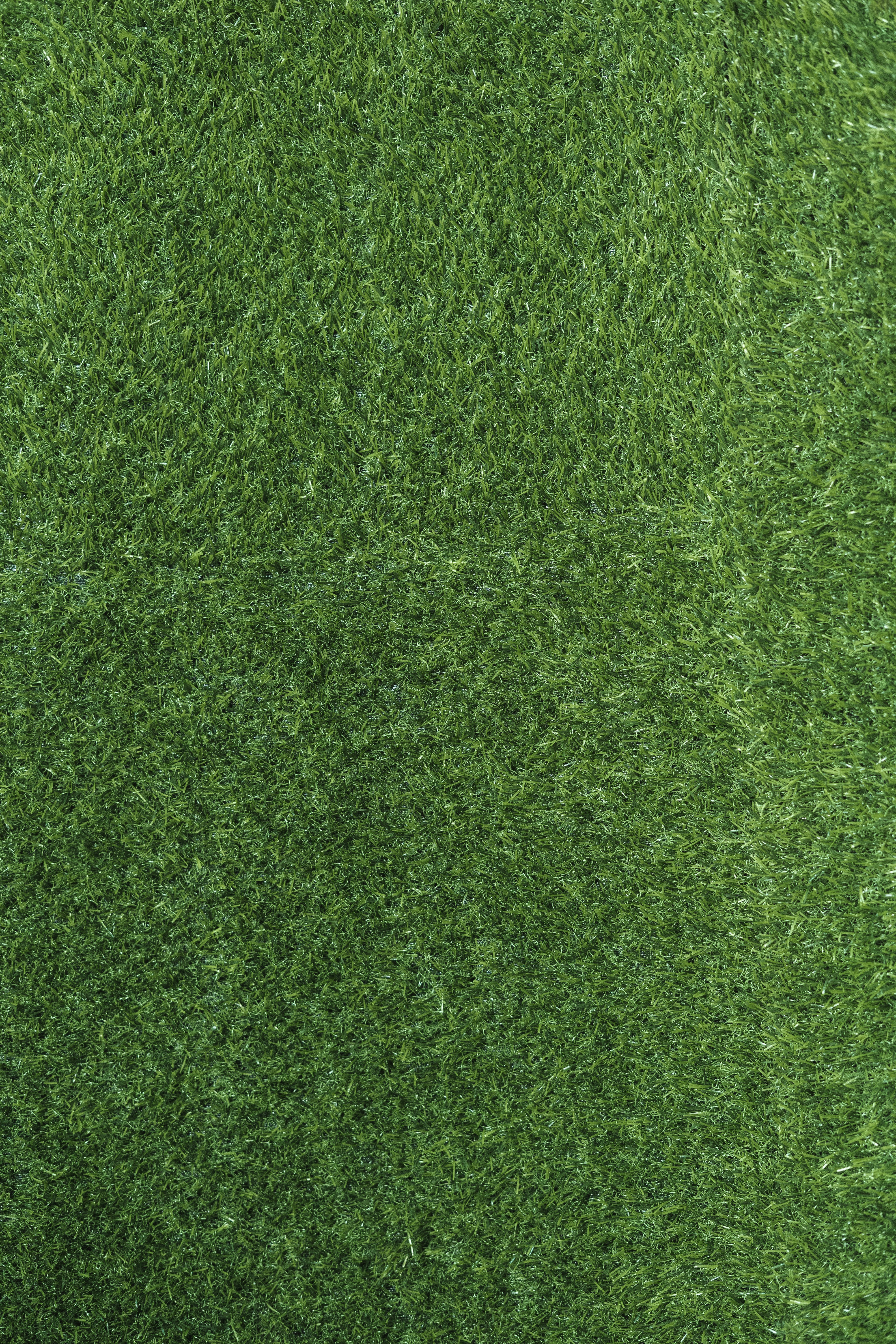 green grass field during daytime