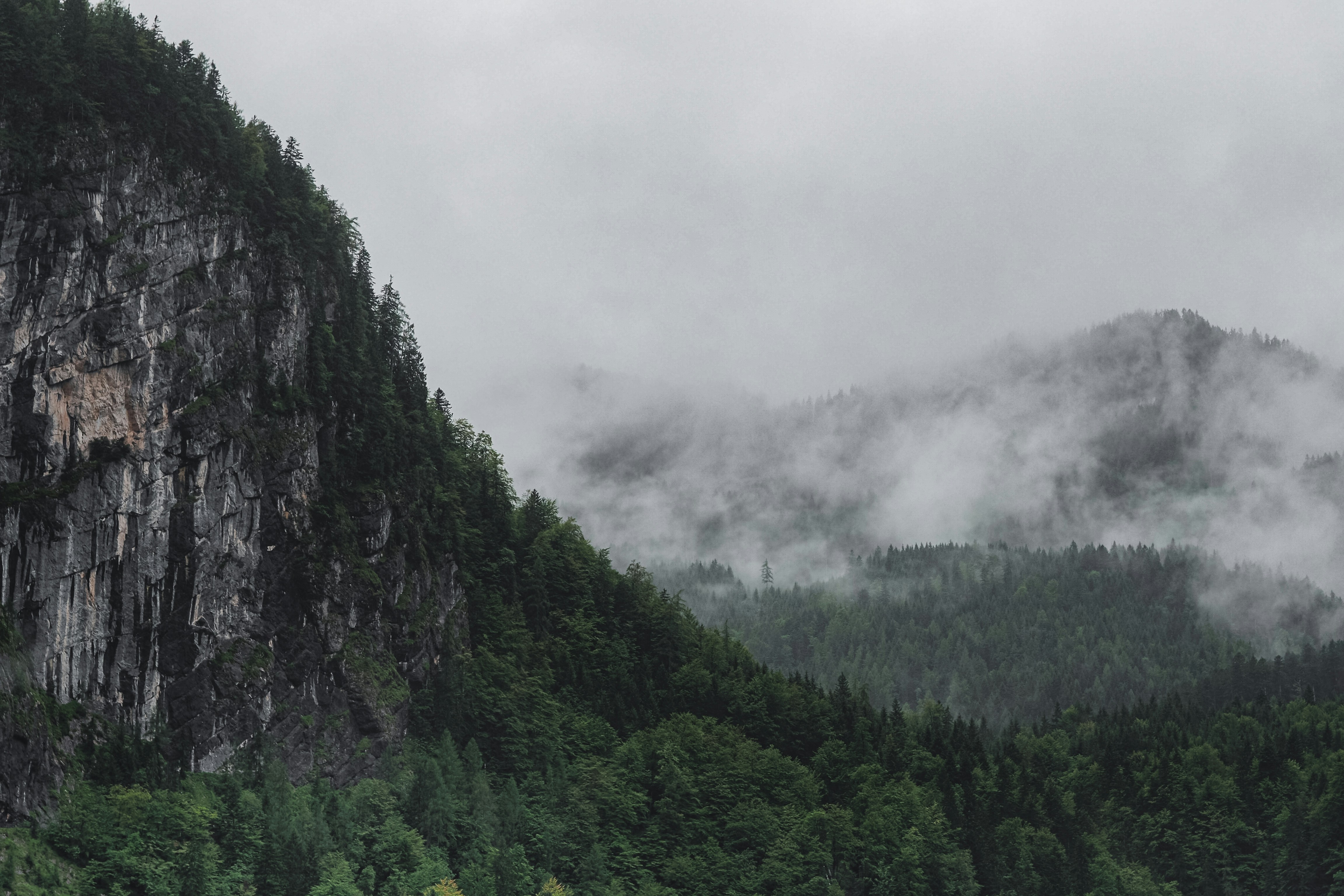 Photo by laurachouette