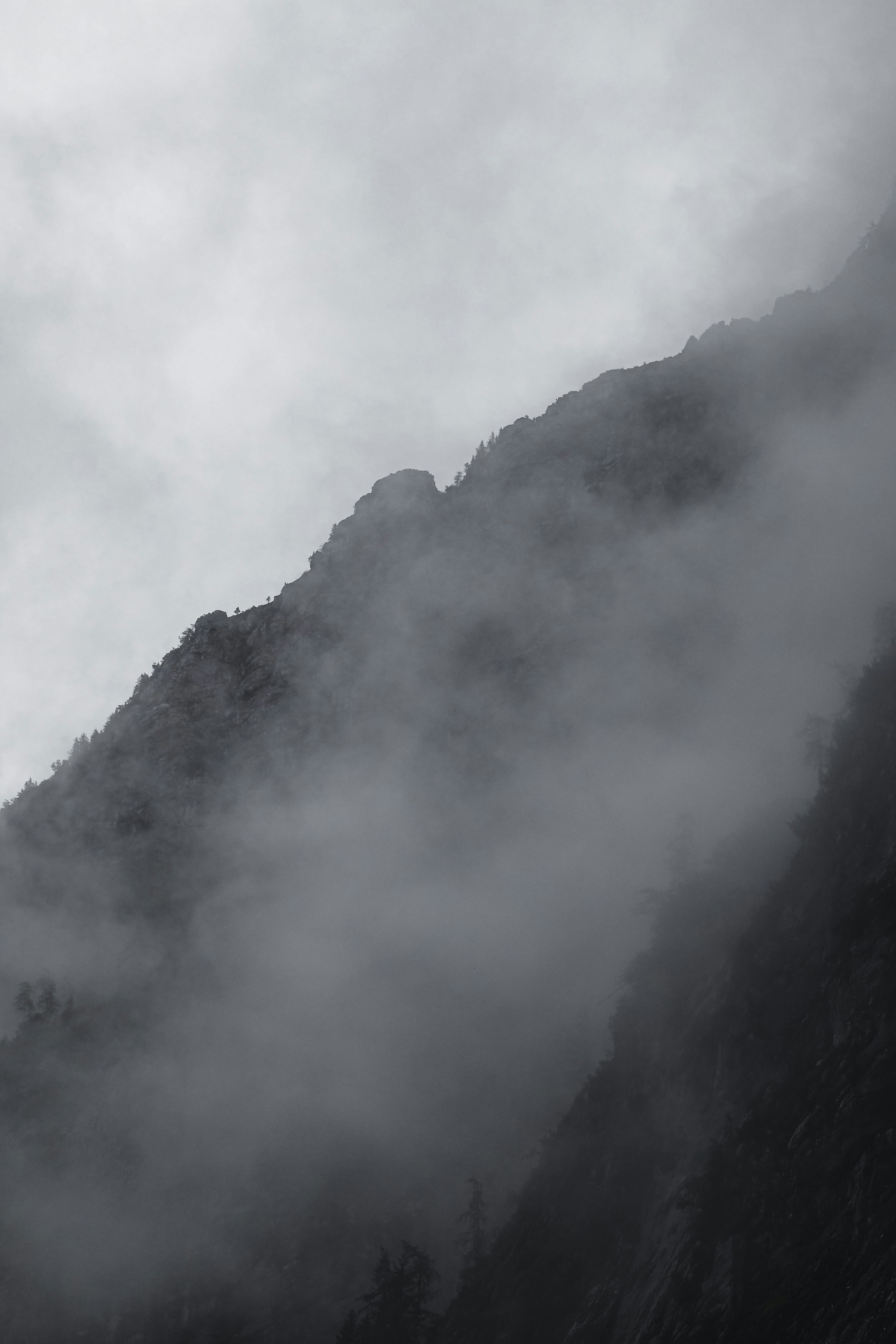 Photo by laurachouette