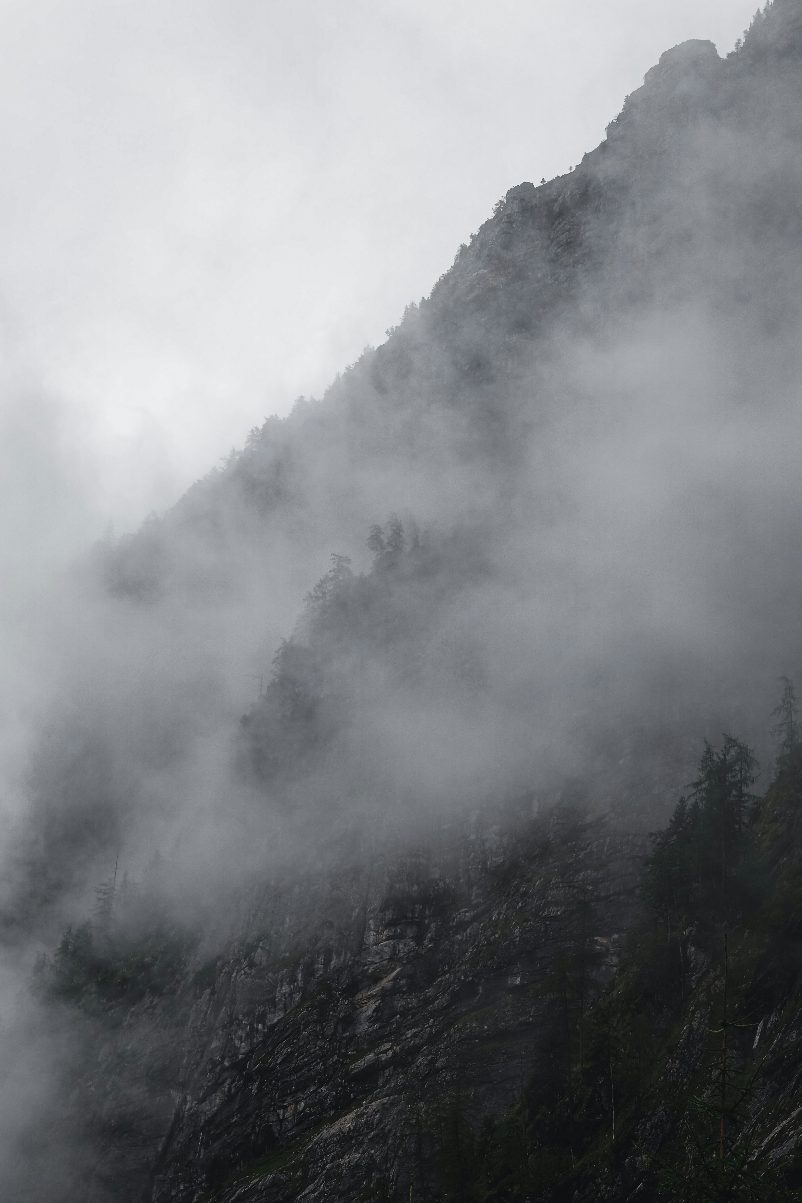 Photo by laurachouette