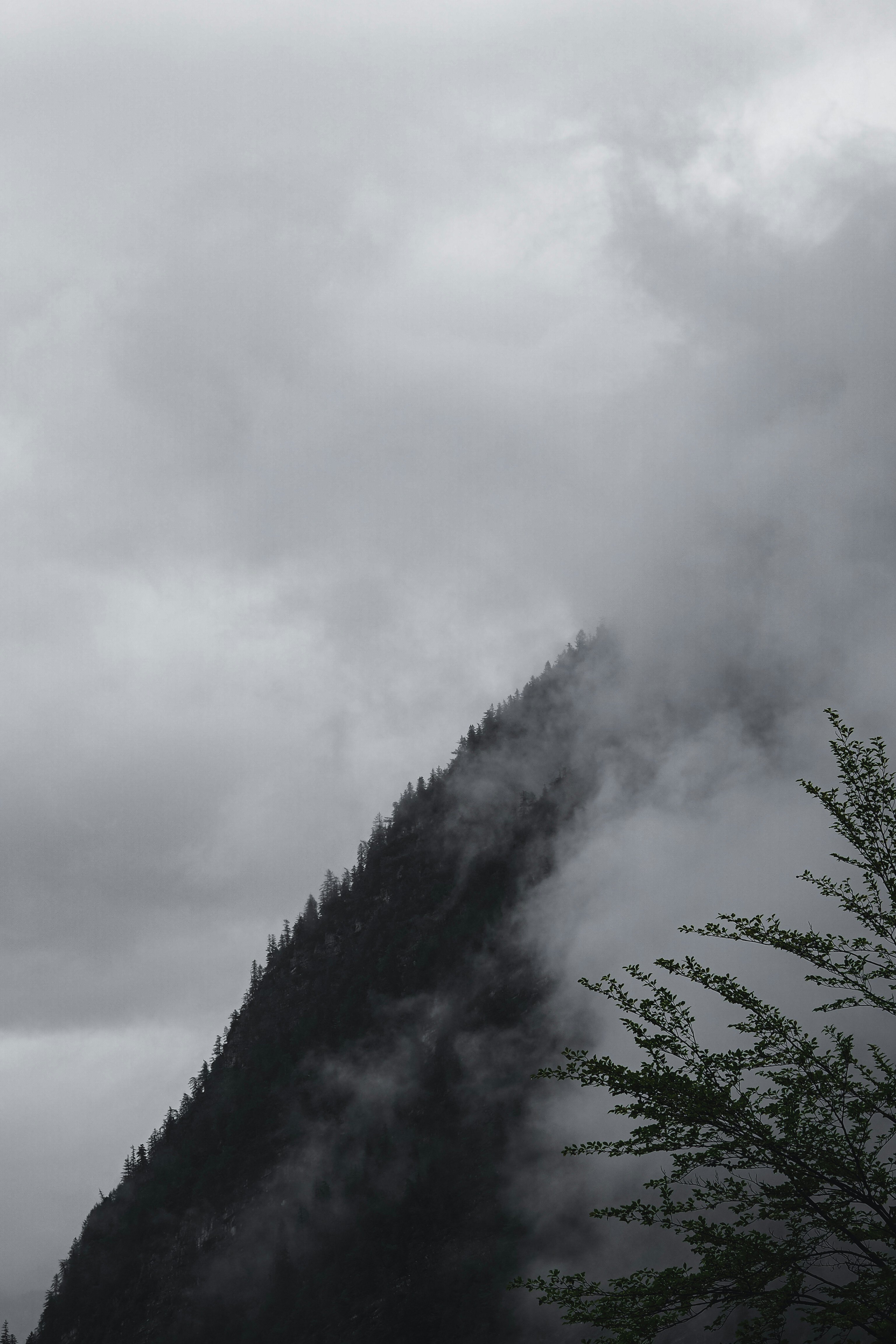 Photo by laurachouette