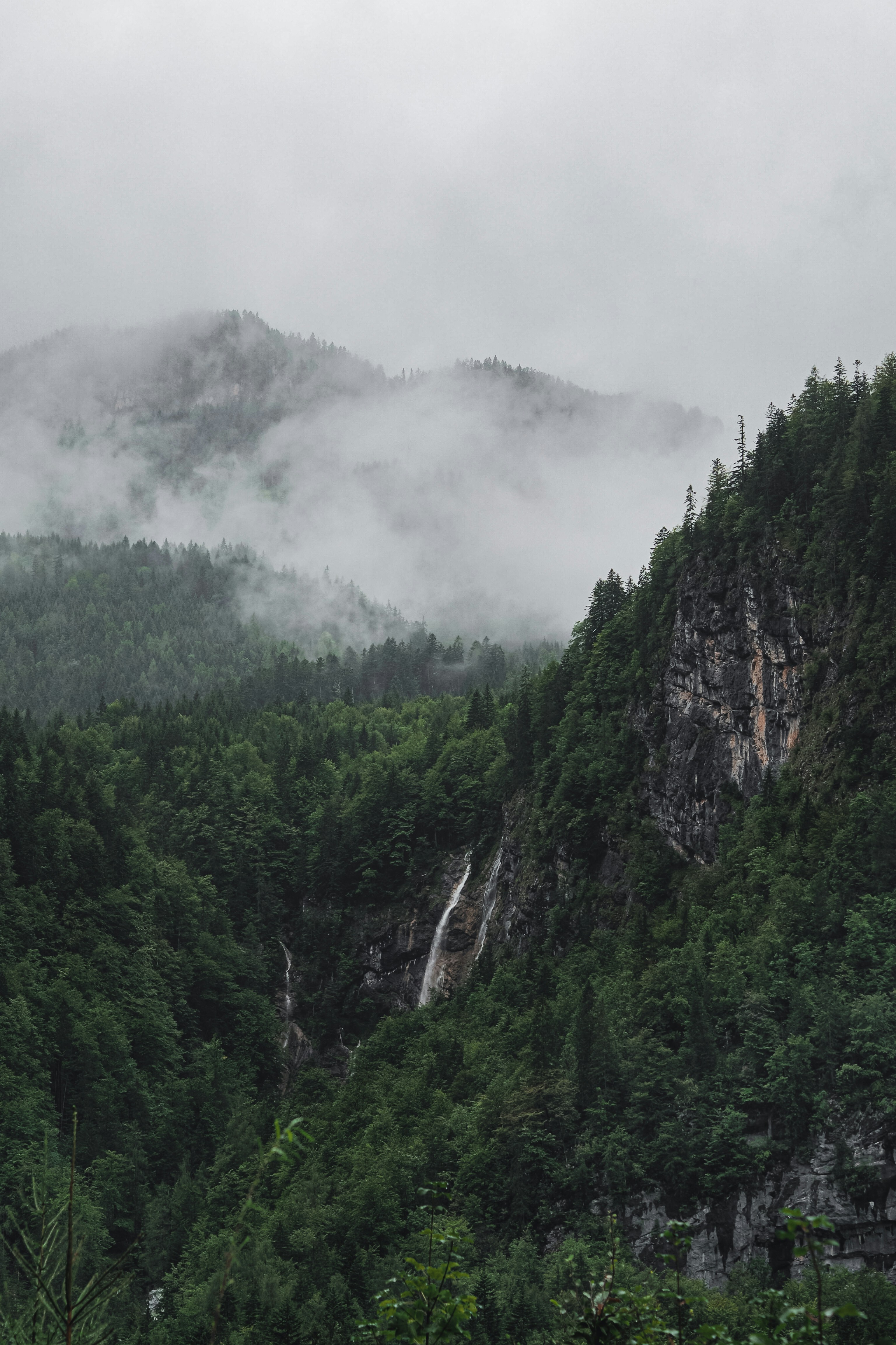 Photo by laurachouette