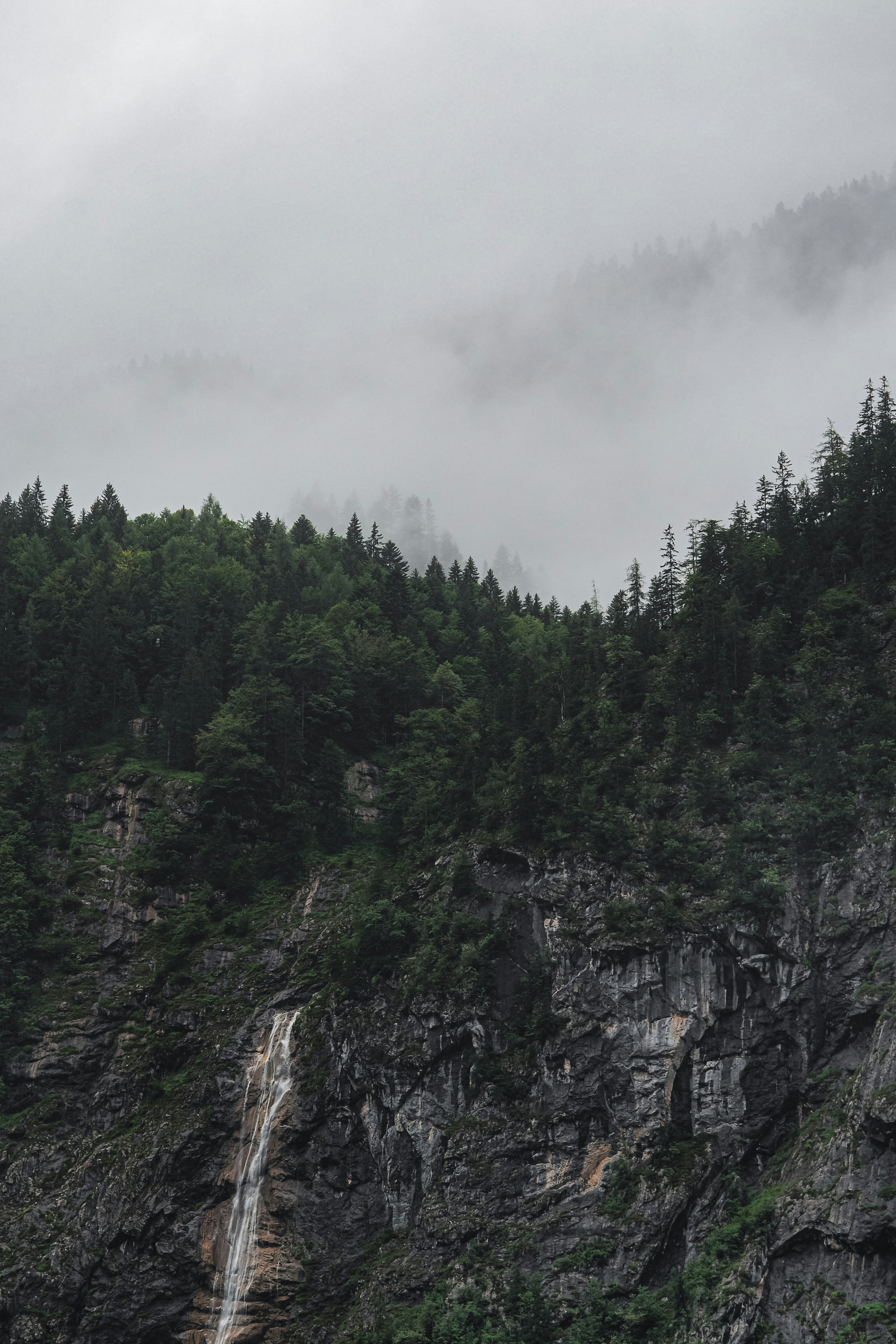 Photo by laurachouette