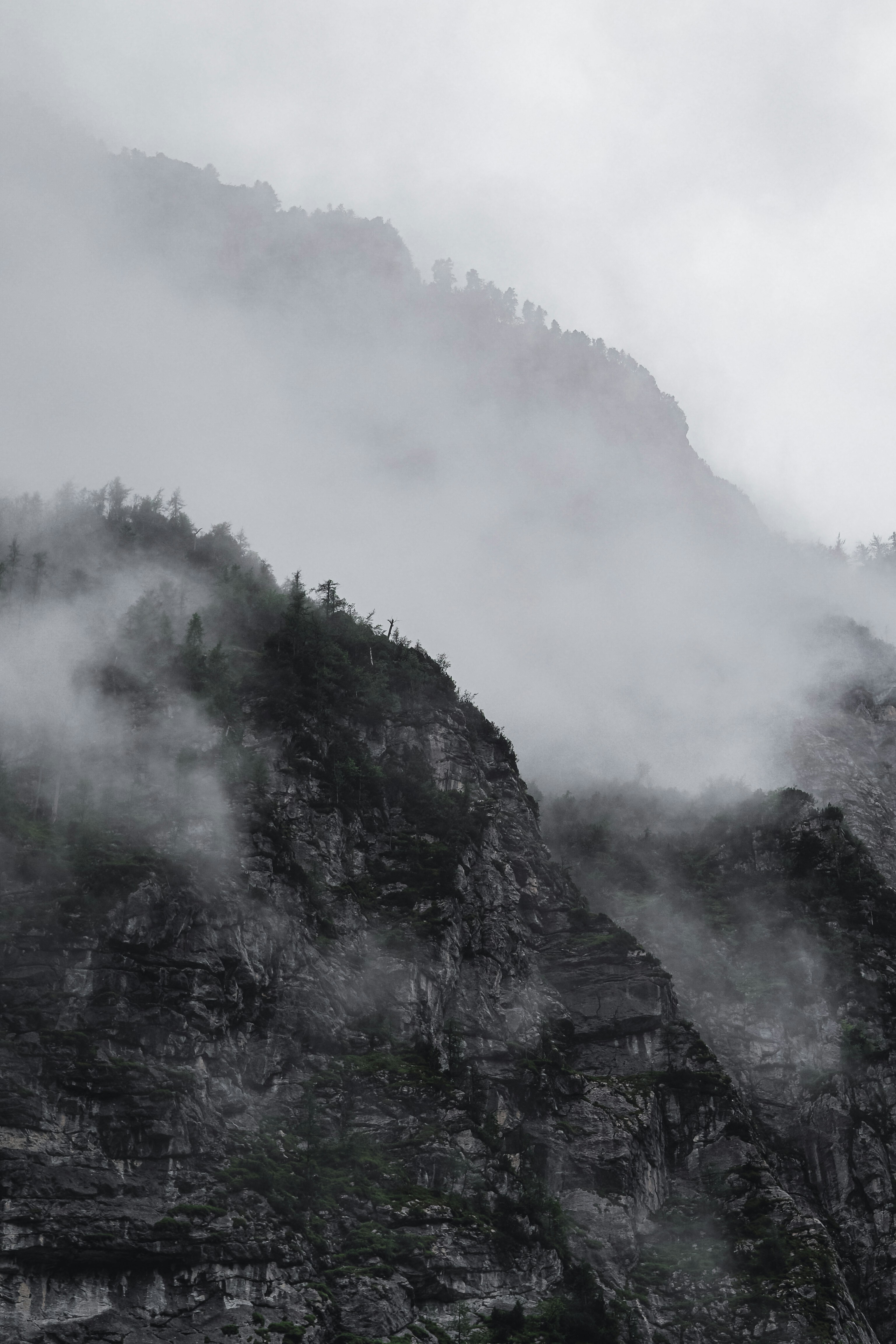 Photo by laurachouette