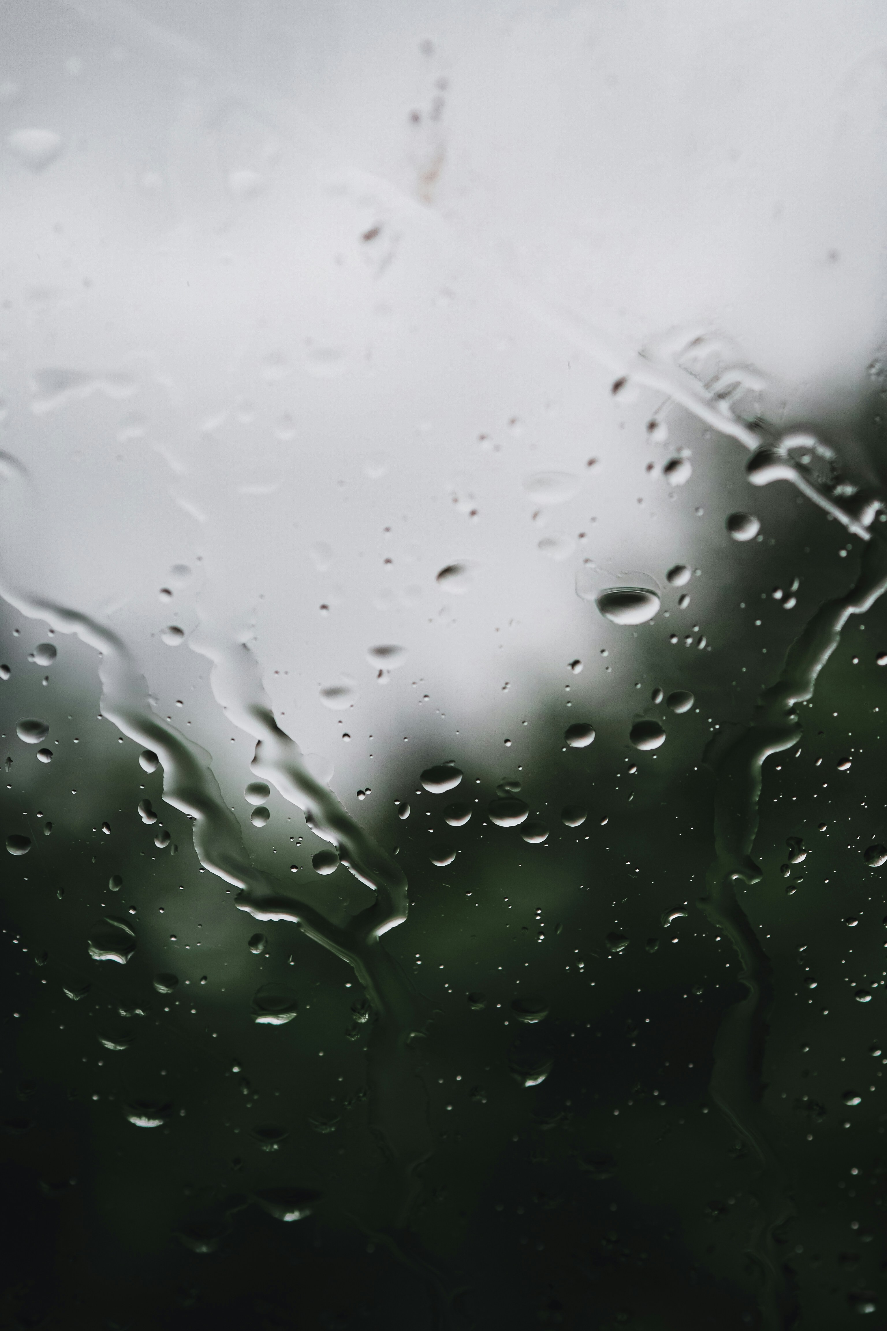 Photo by laurachouette