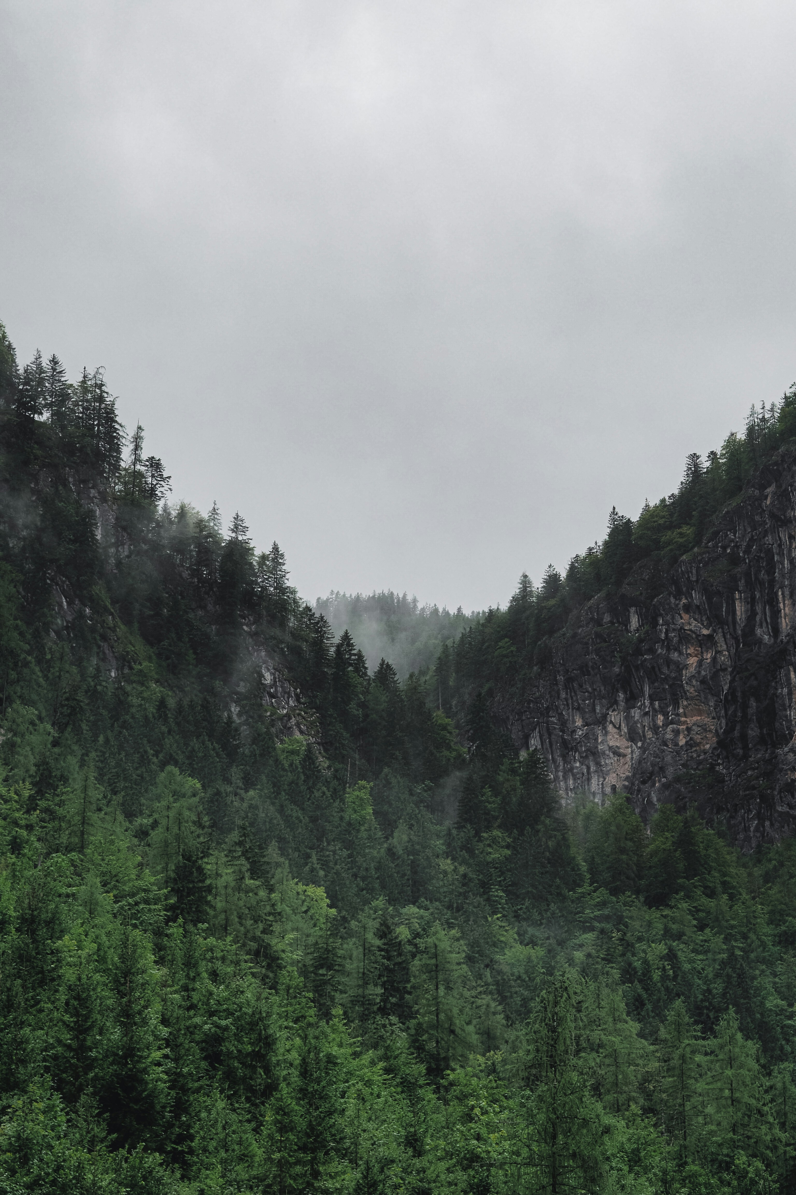 Photo by laurachouette