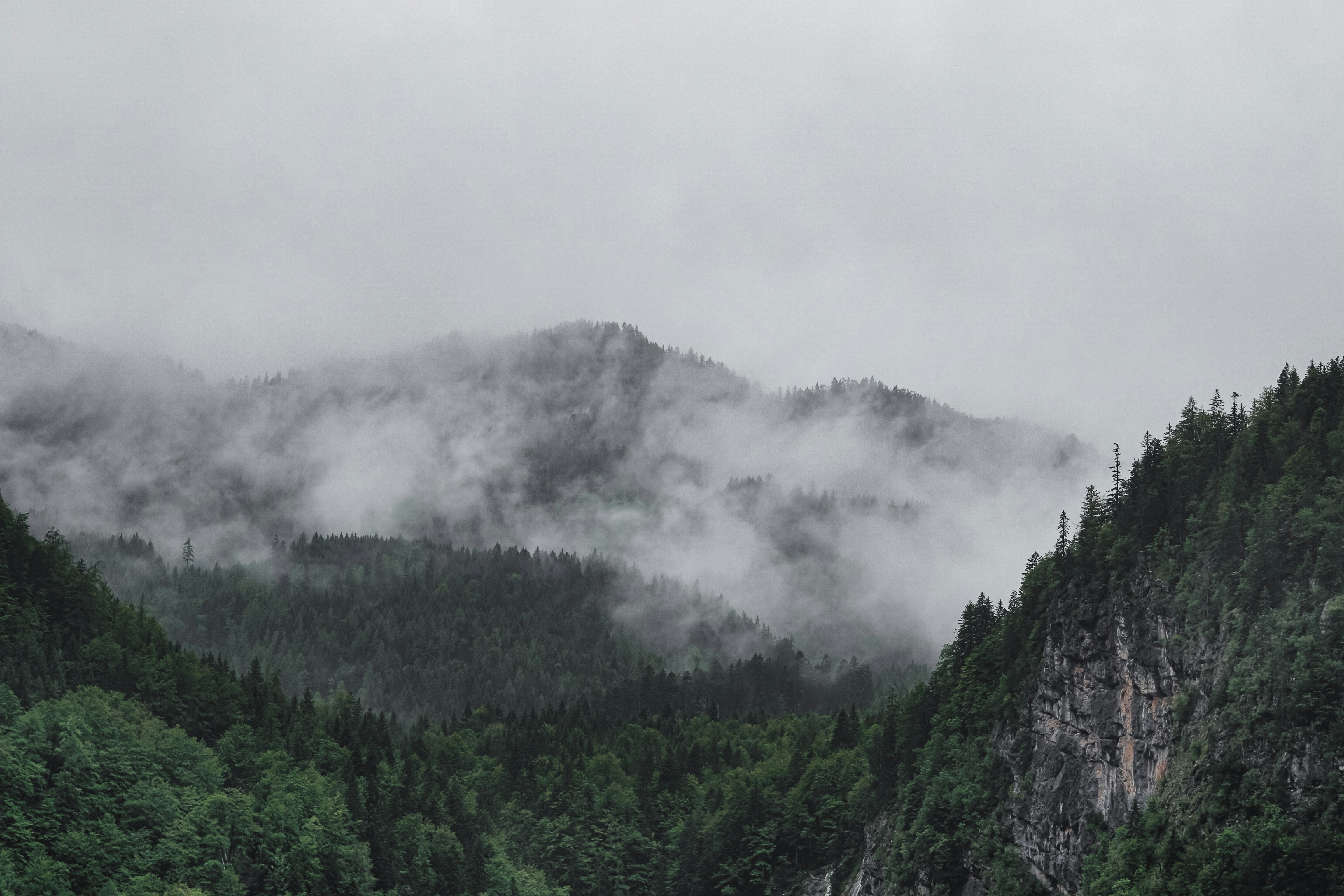 Photo by laurachouette