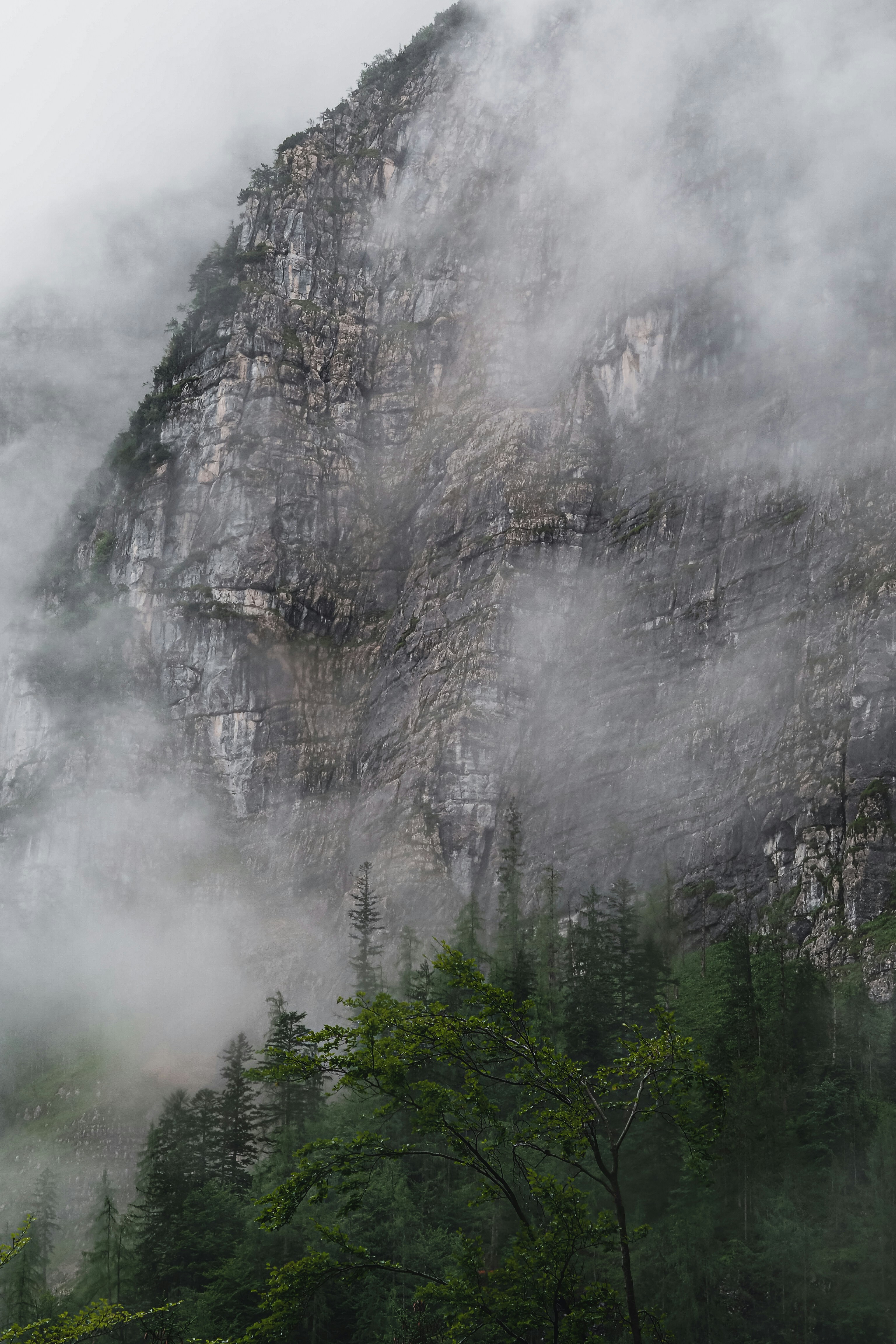 Photo by laurachouette