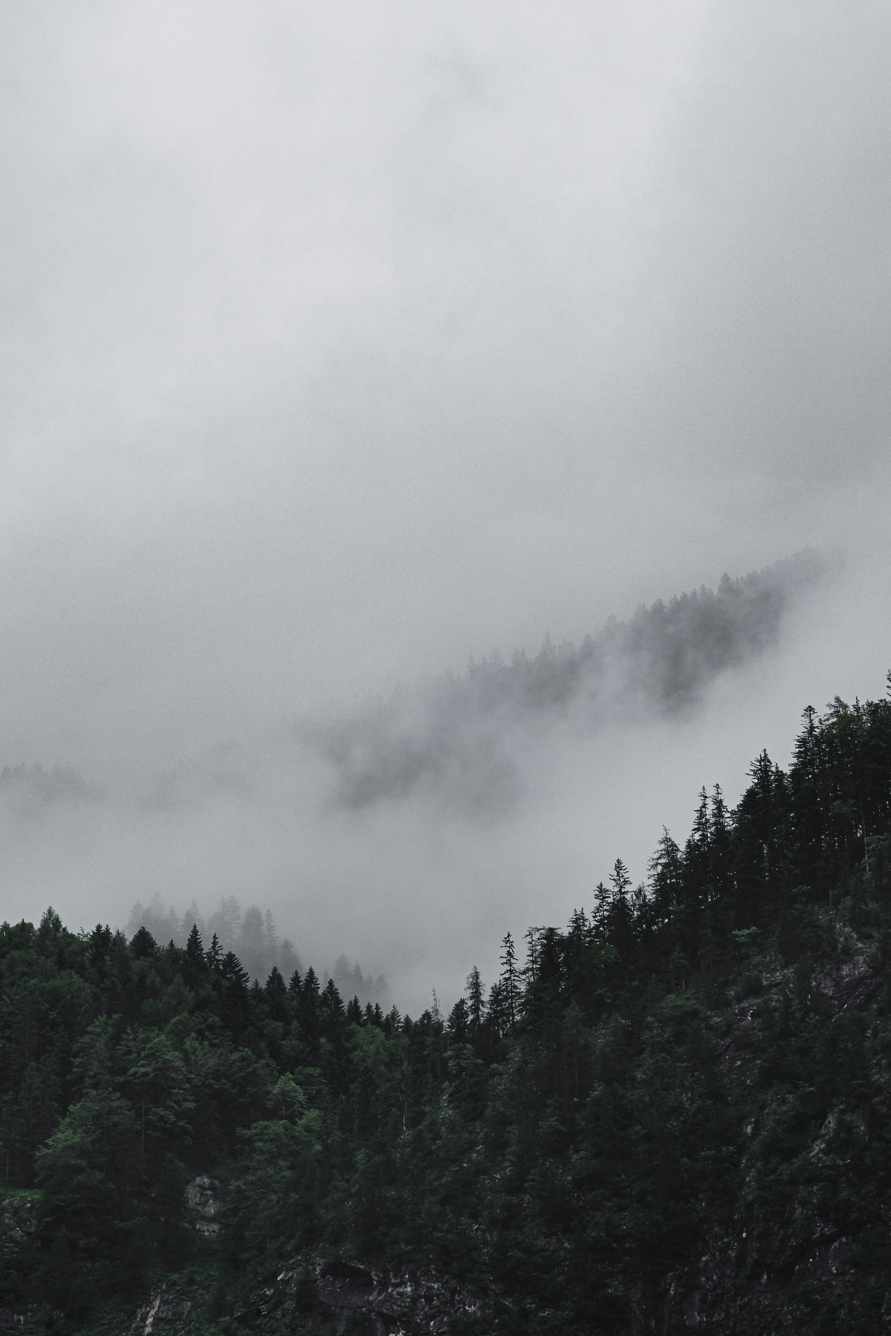 Photo by laurachouette